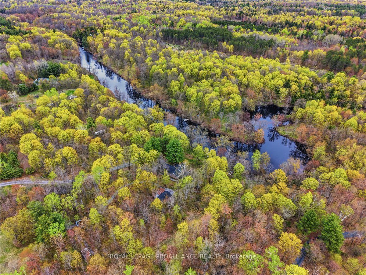 606 Black River Road Property Photo 41