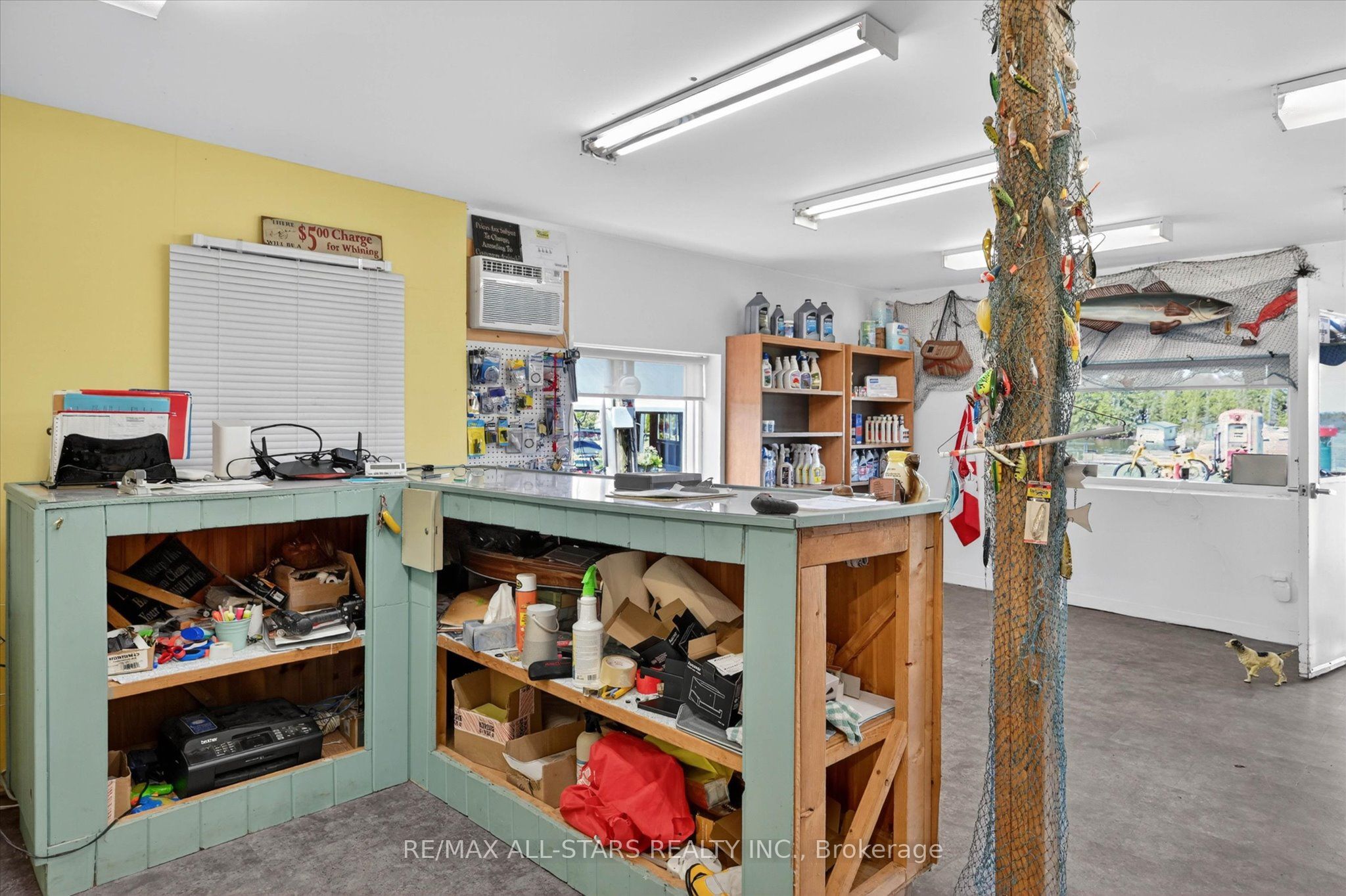 9 Elder Street Property Photo 44