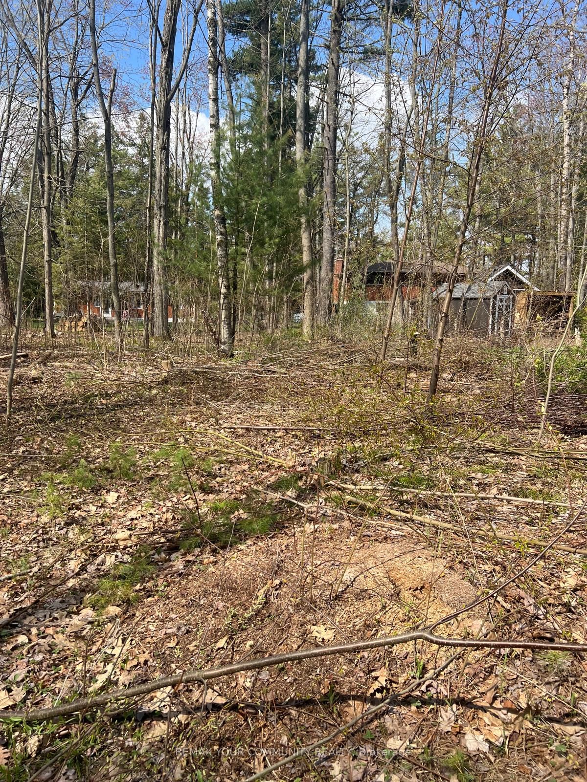 Lot 12 Stanley Road Property Photo 6