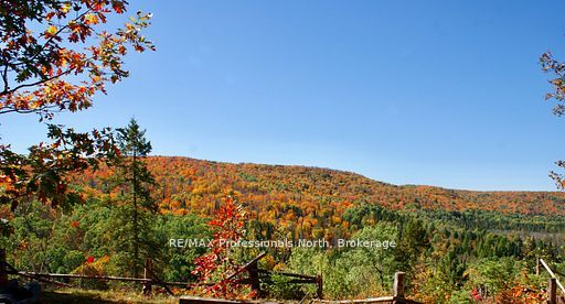 0 Mudcat Road Property Photo 2