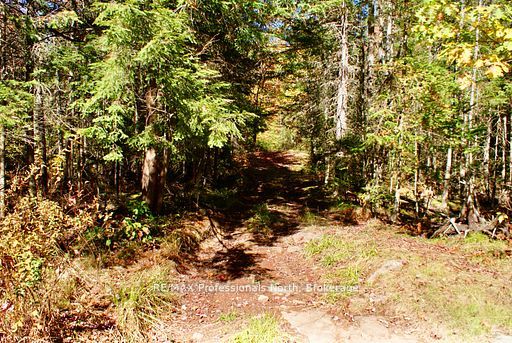 0 Mudcat Road Property Photo 25