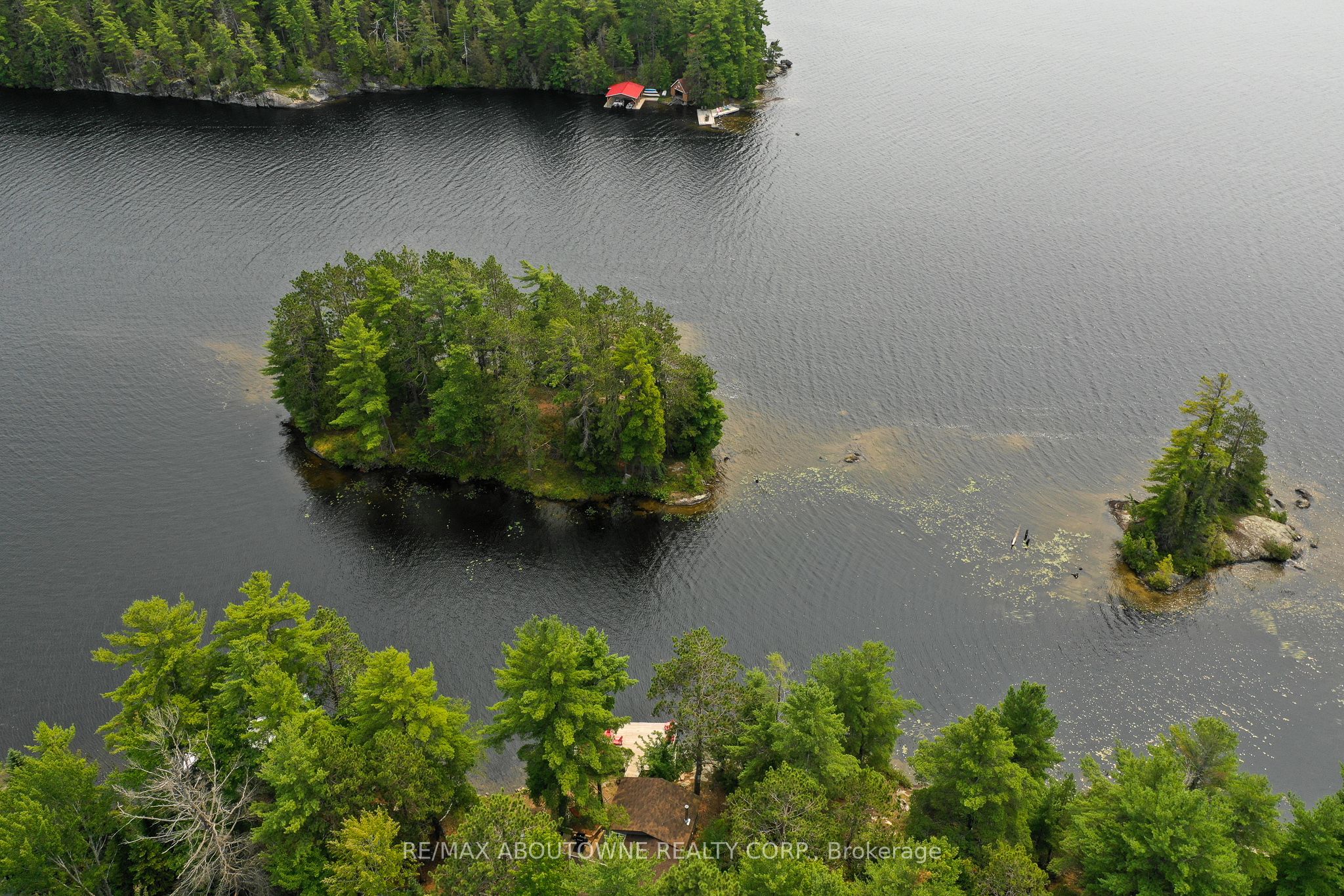 347 Weslemkoon Lake Property Photo 43