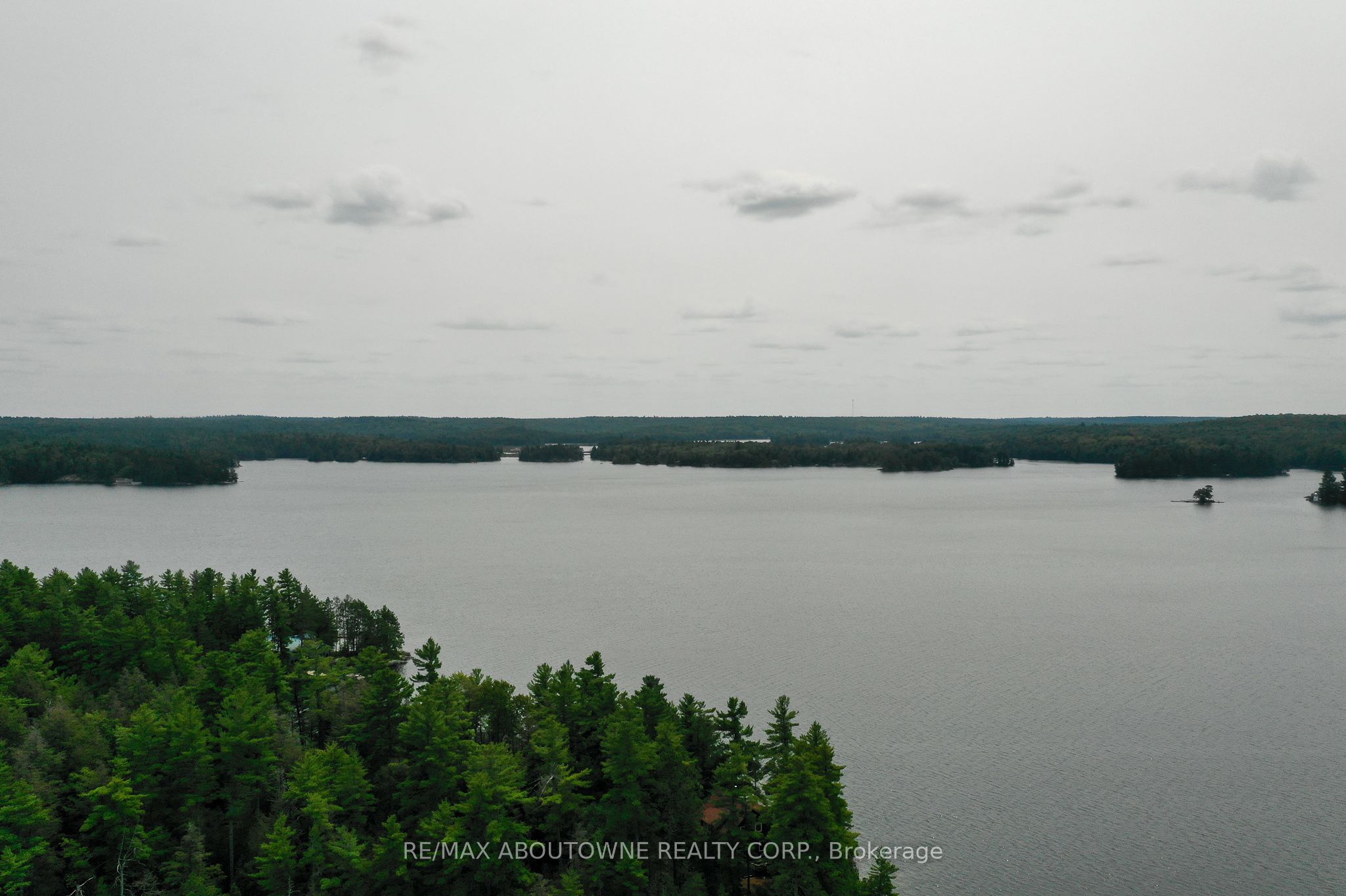 347 Weslemkoon Lake Property Photo 48