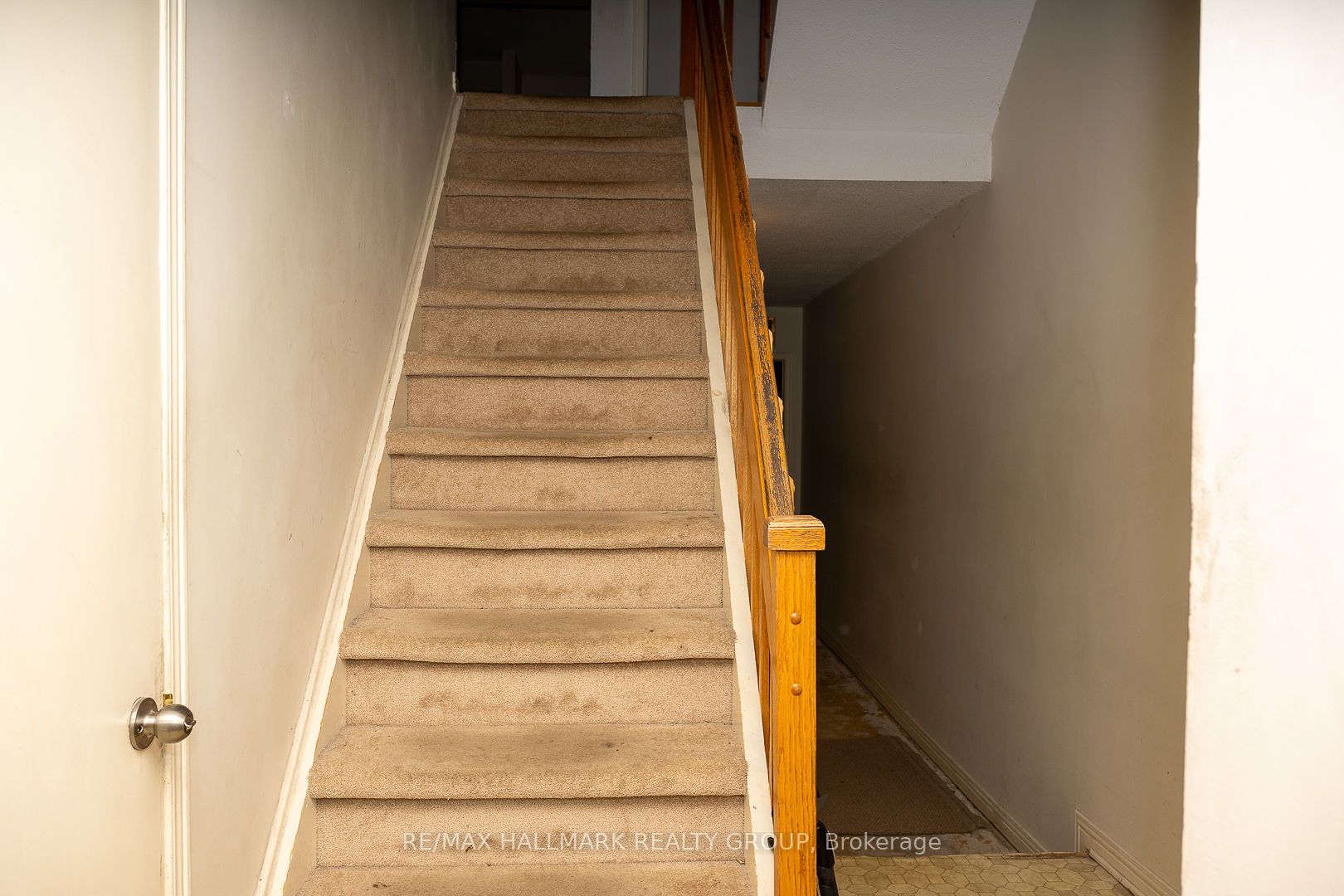 15 Birchdale Avenue Property Photo 6