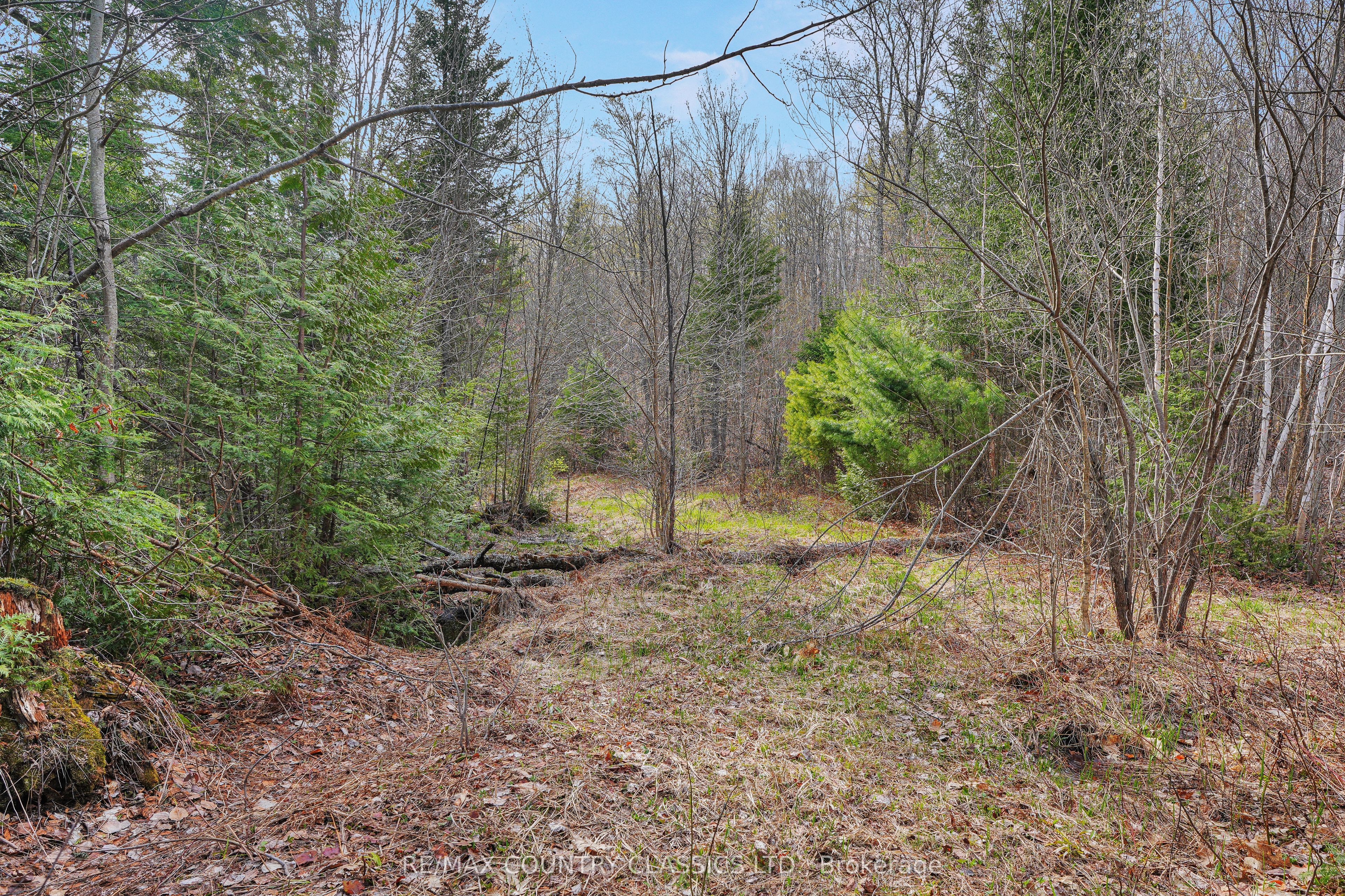 1374 Havensford Drive Property Photo 17