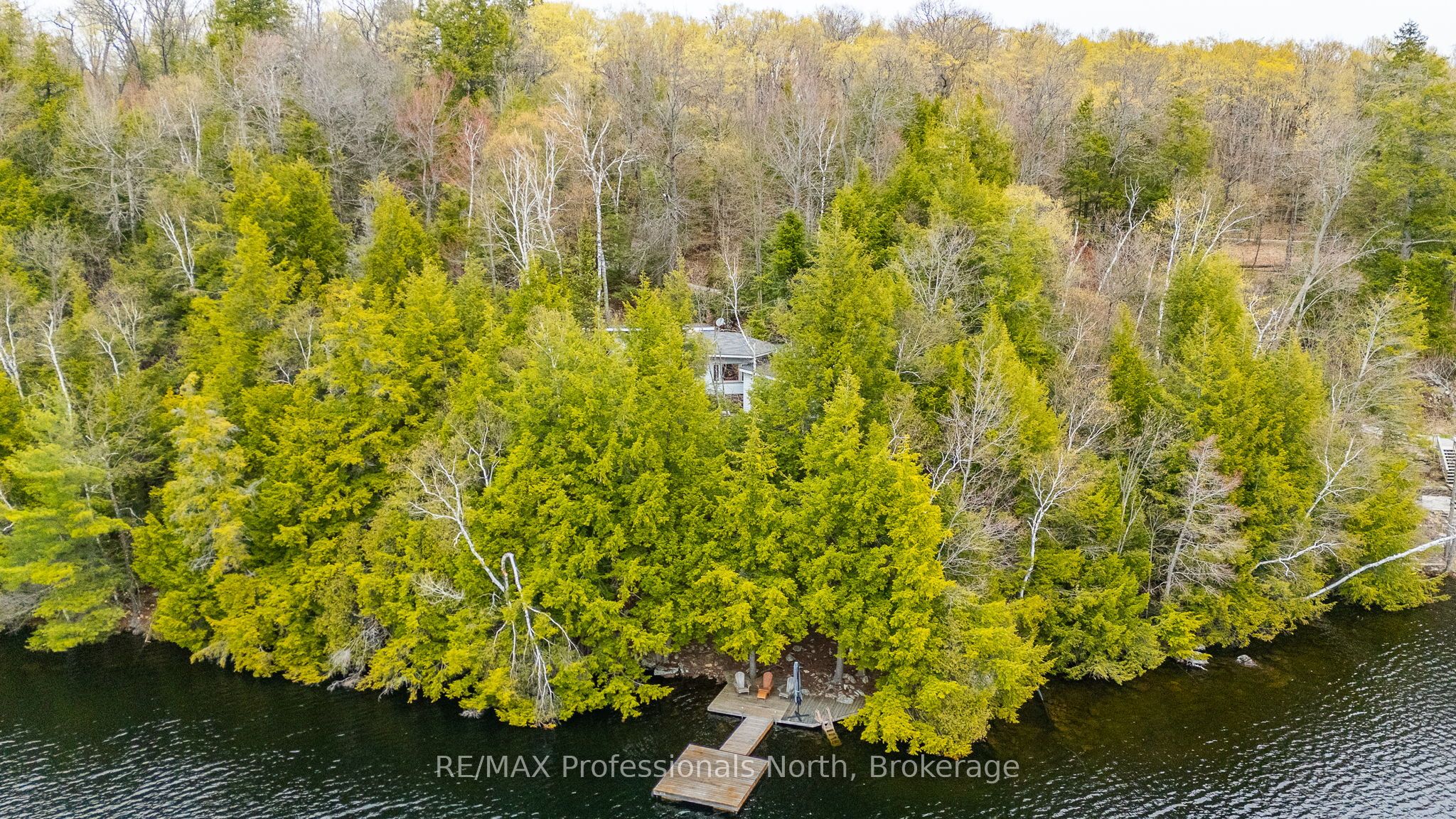 1201 Trellis Trail Property Photo 1