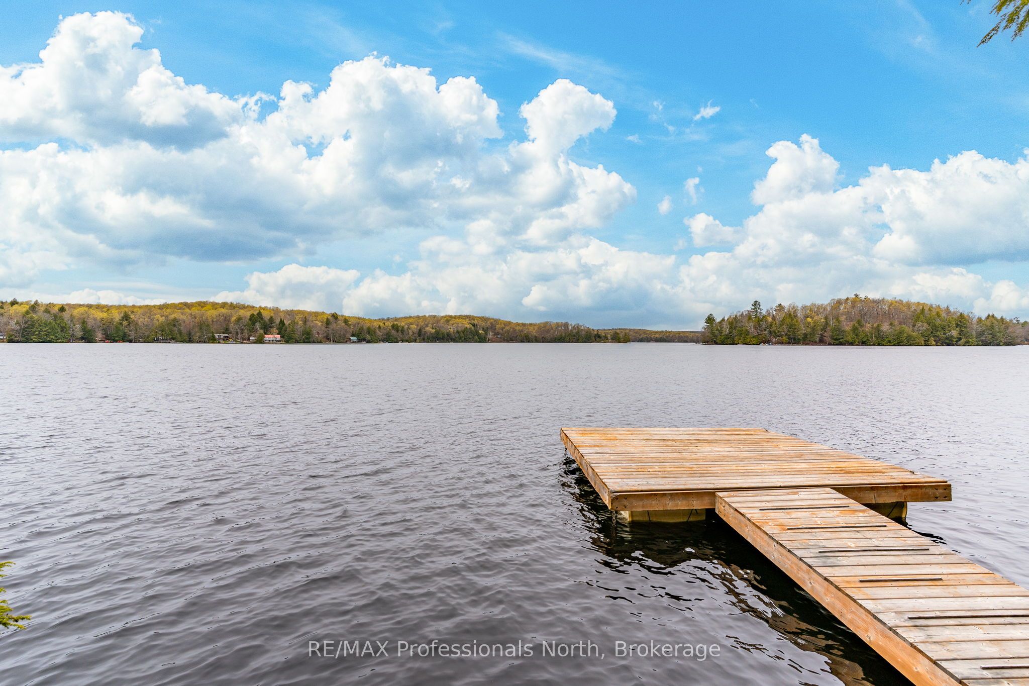 1201 Trellis Trail Property Photo 5