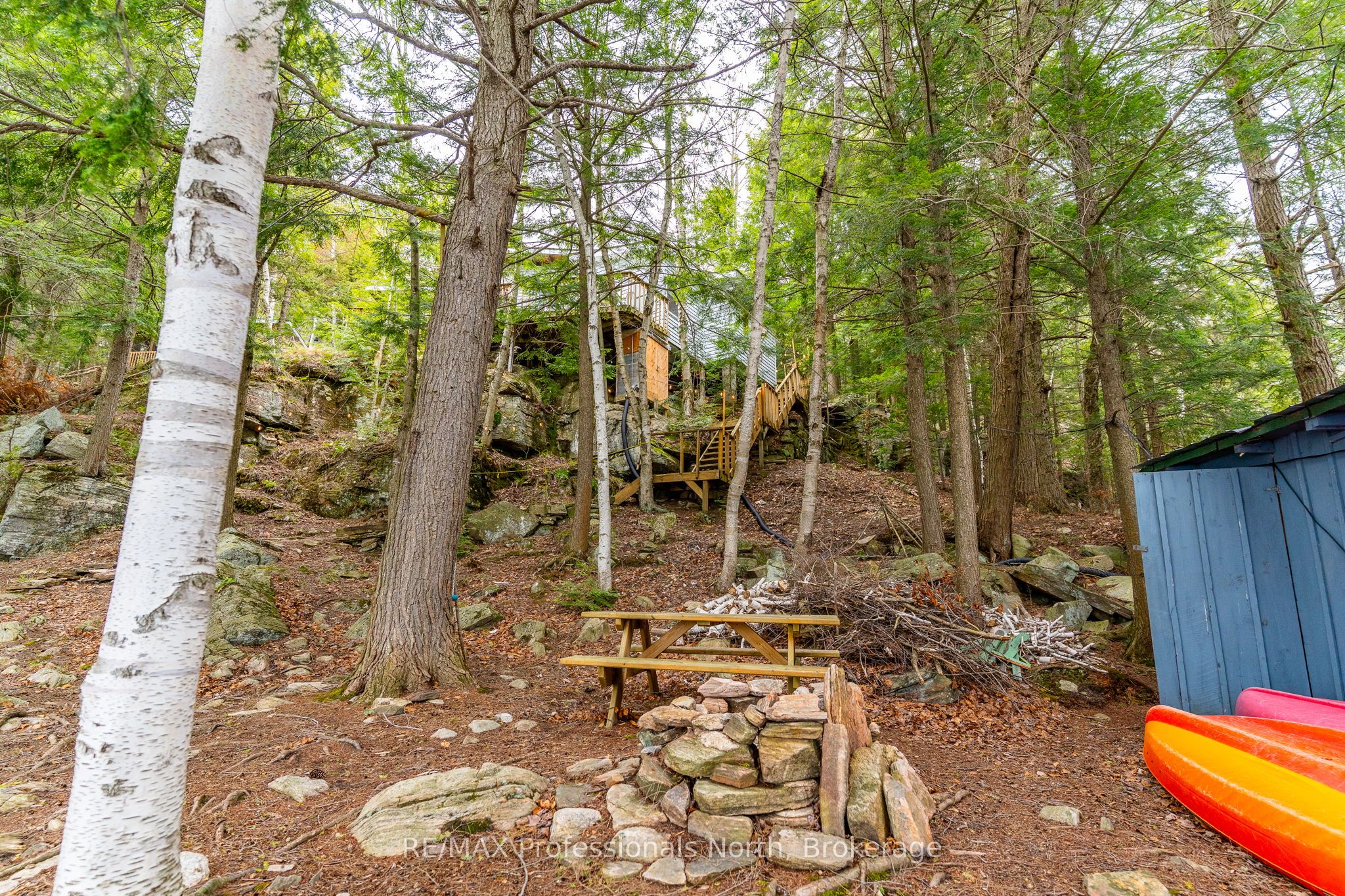 1201 Trellis Trail Property Photo 9