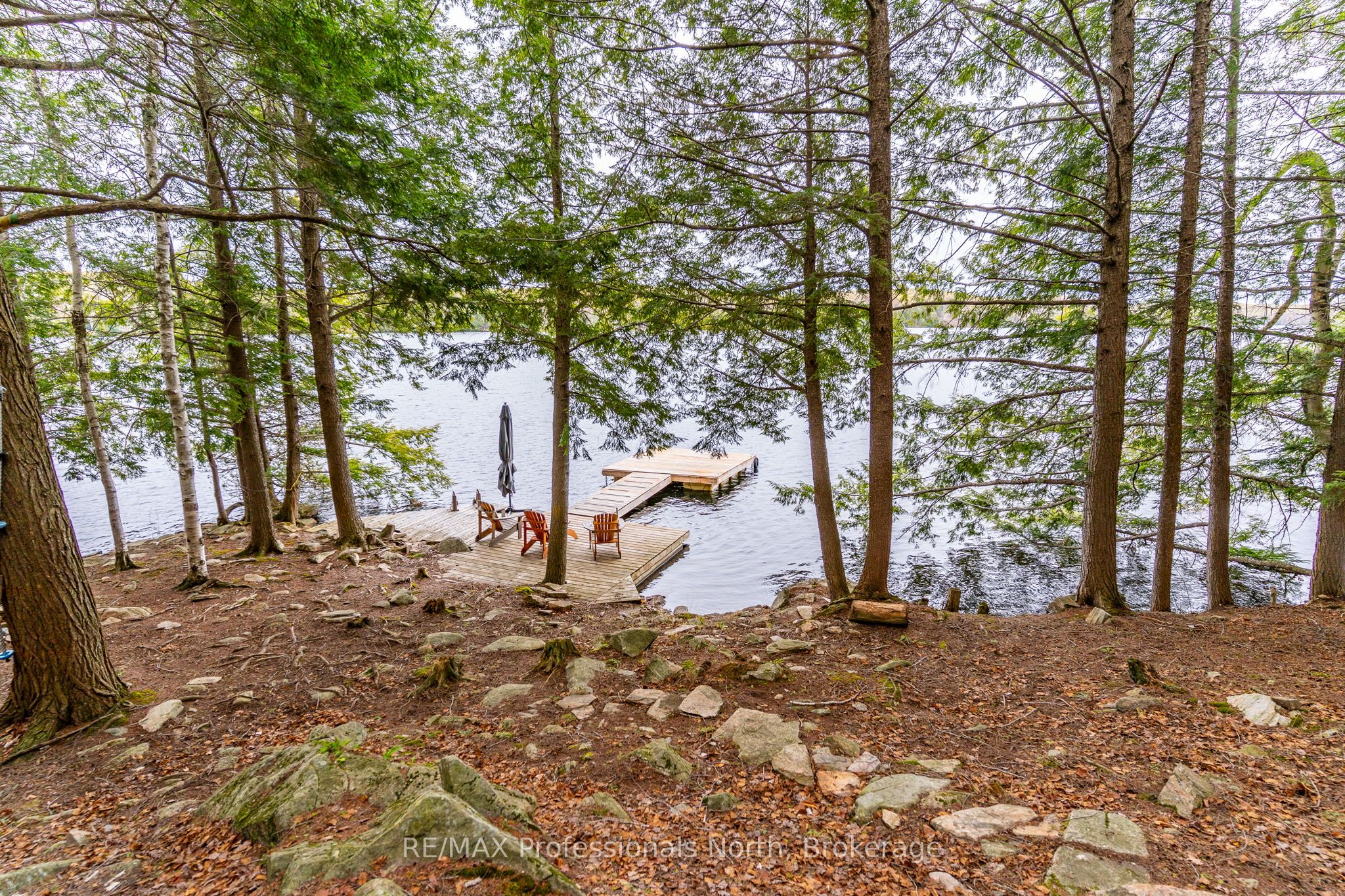 1201 Trellis Trail Property Photo 11