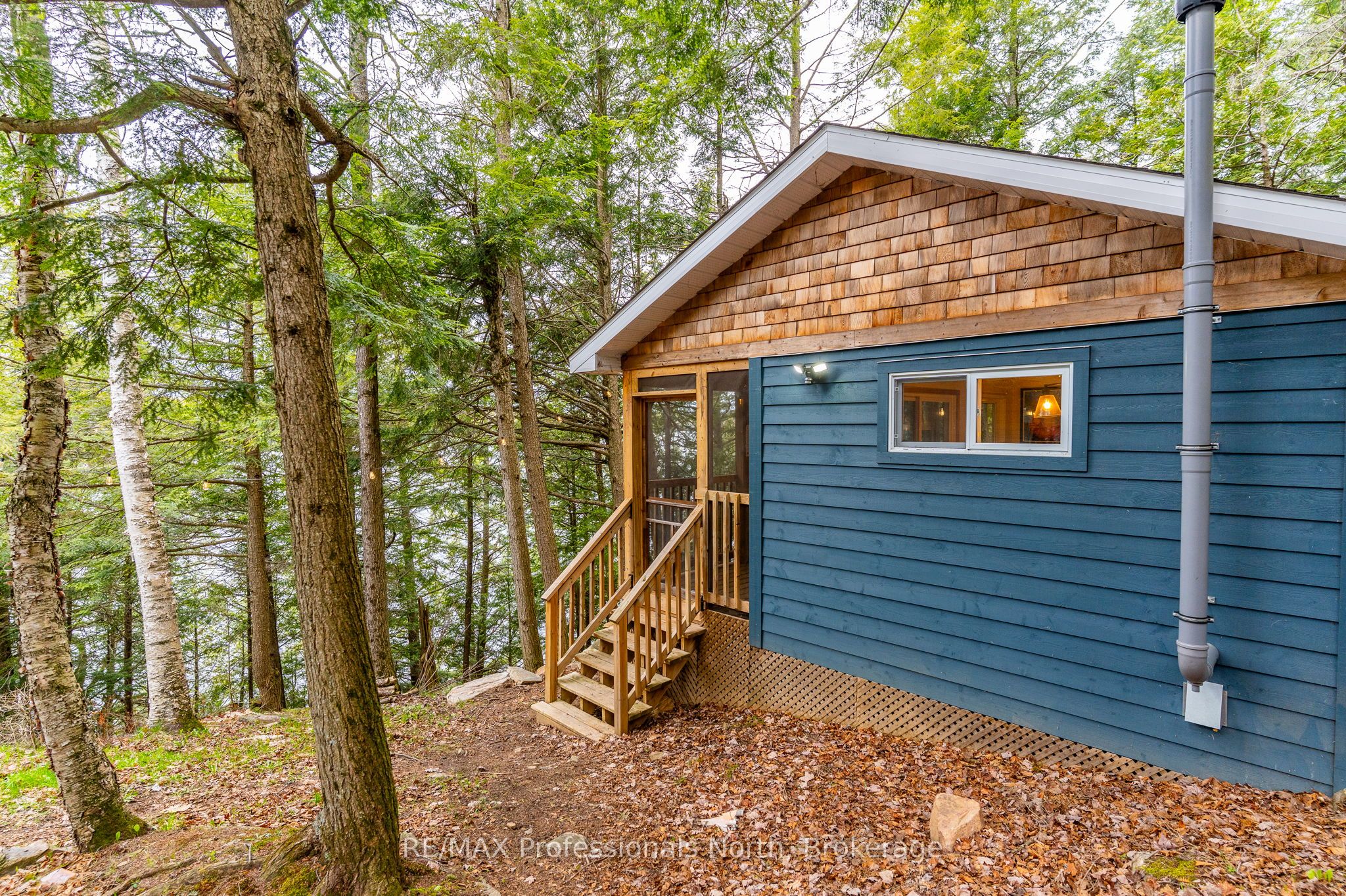 1201 Trellis Trail Property Photo 13