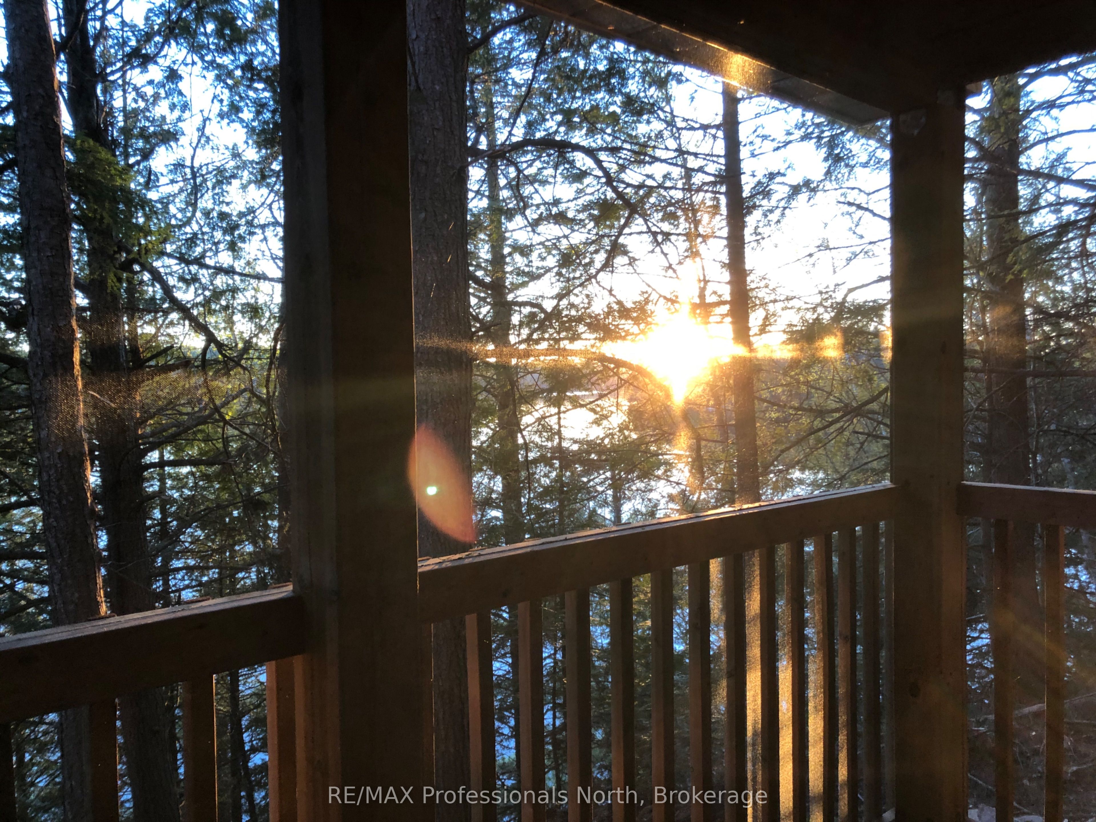 1201 Trellis Trail Property Photo 16