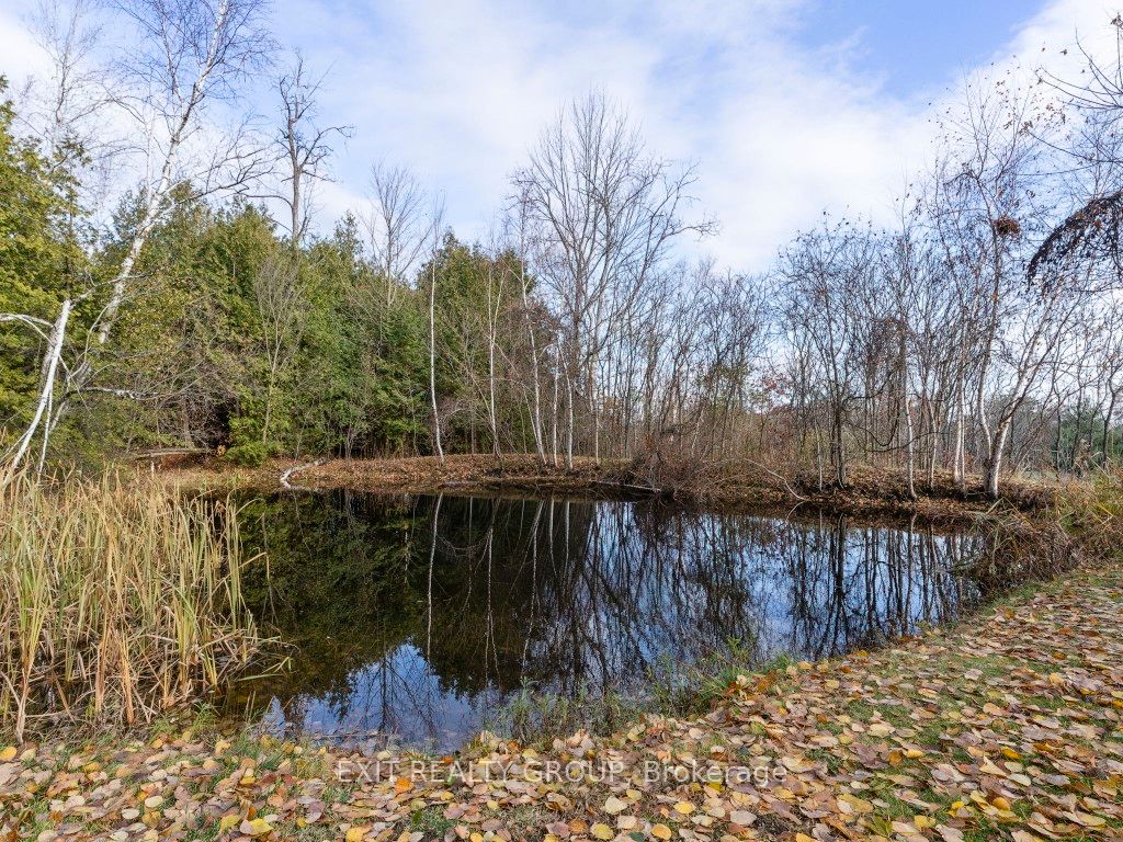 153 Smith Road Property Photo 39