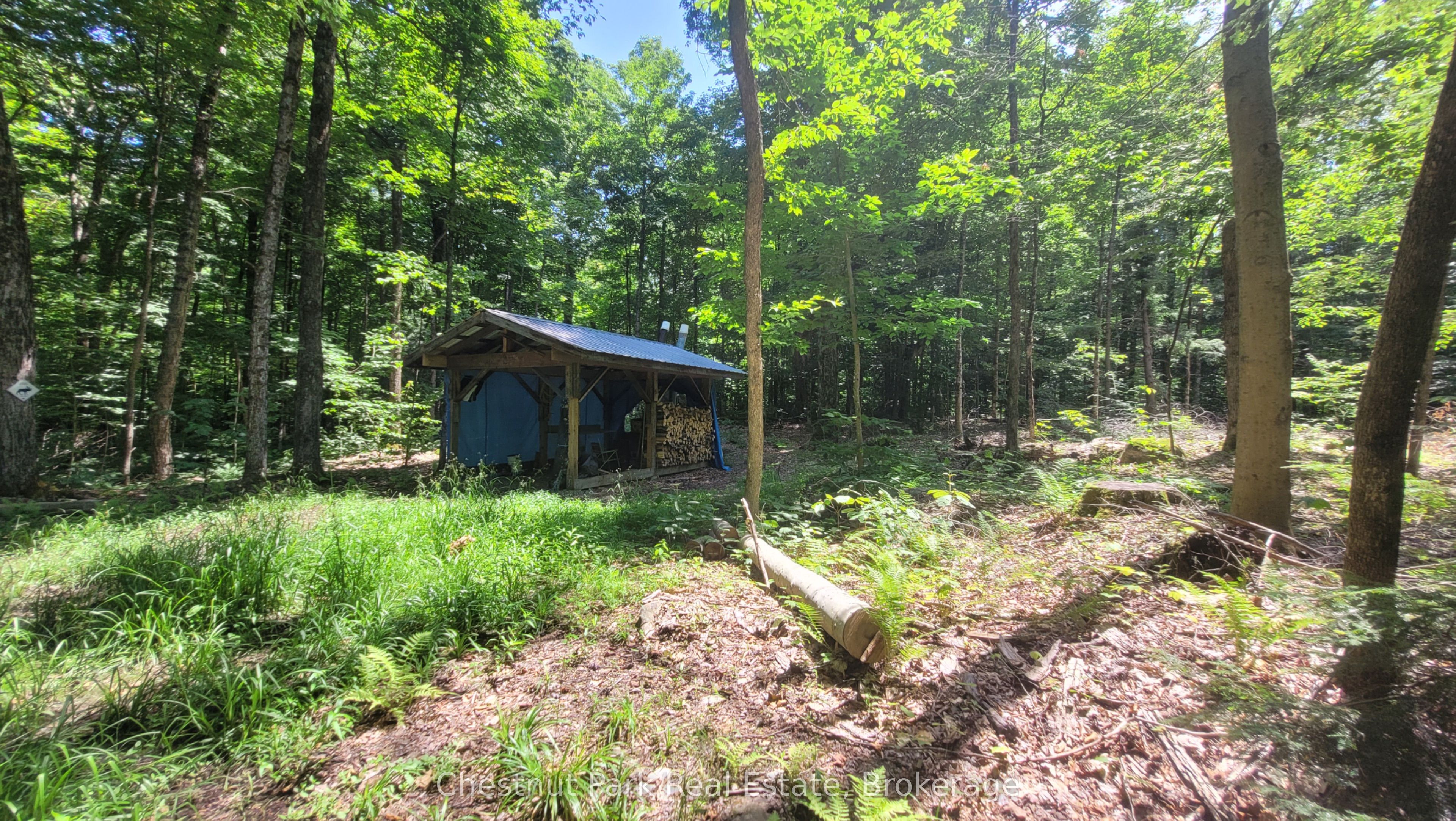 1060 Baker Side Road Property Photo 6