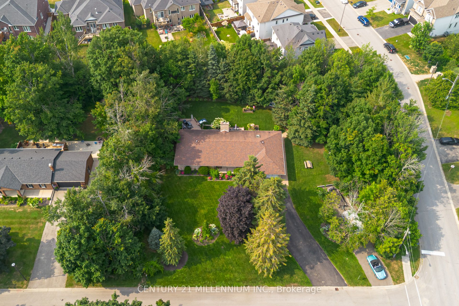 101 Birch Grove Property Photo 3