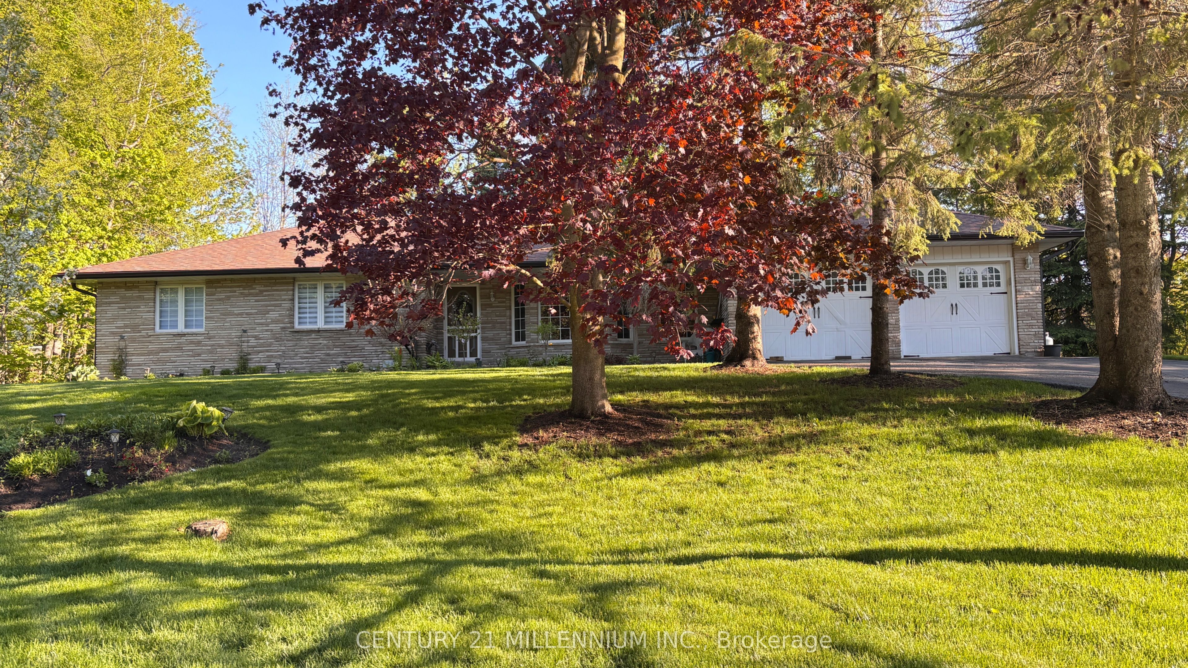 101 Birch Grove Property Photo 45