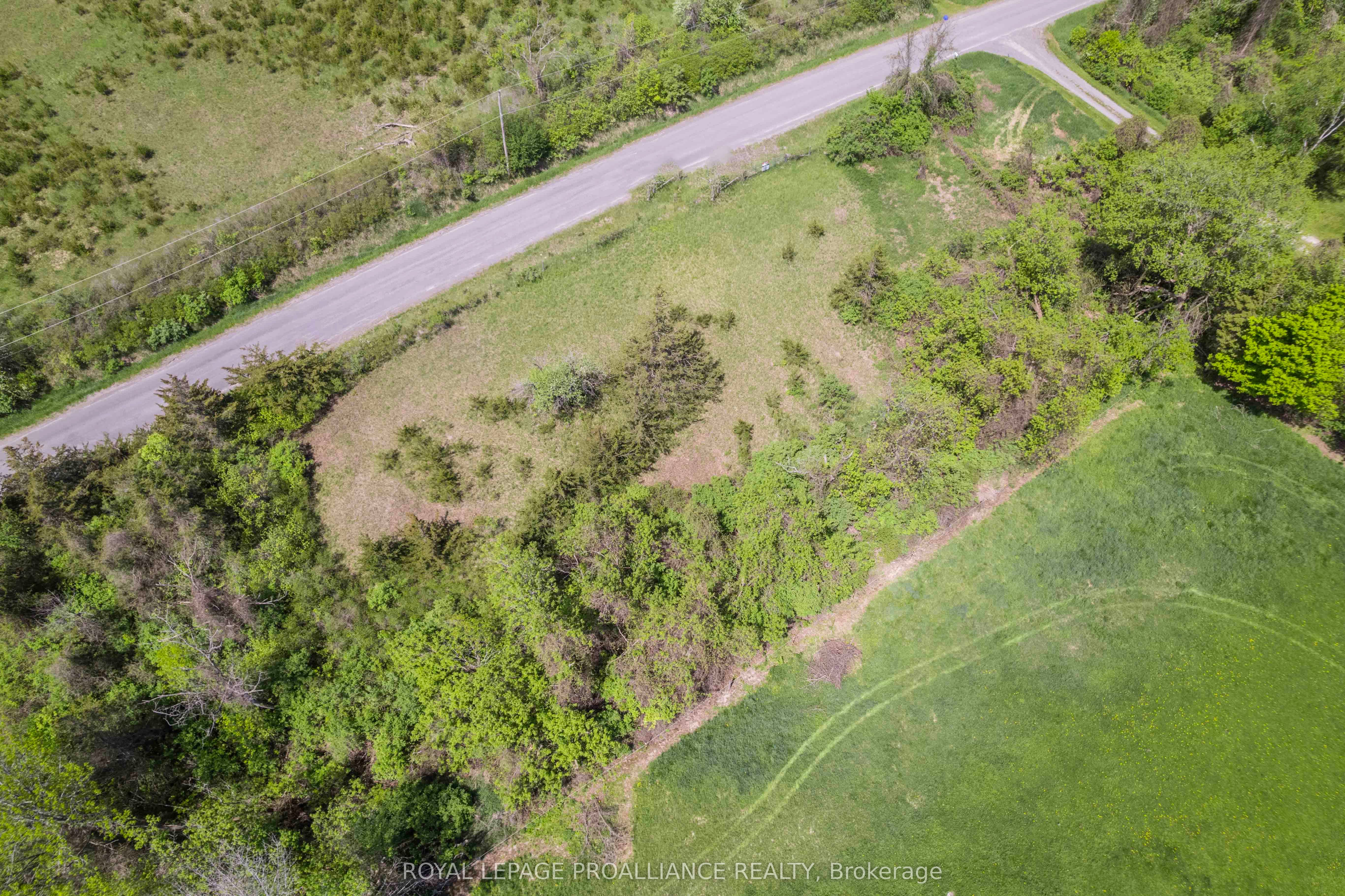 297 Zion Road Property Photo 4