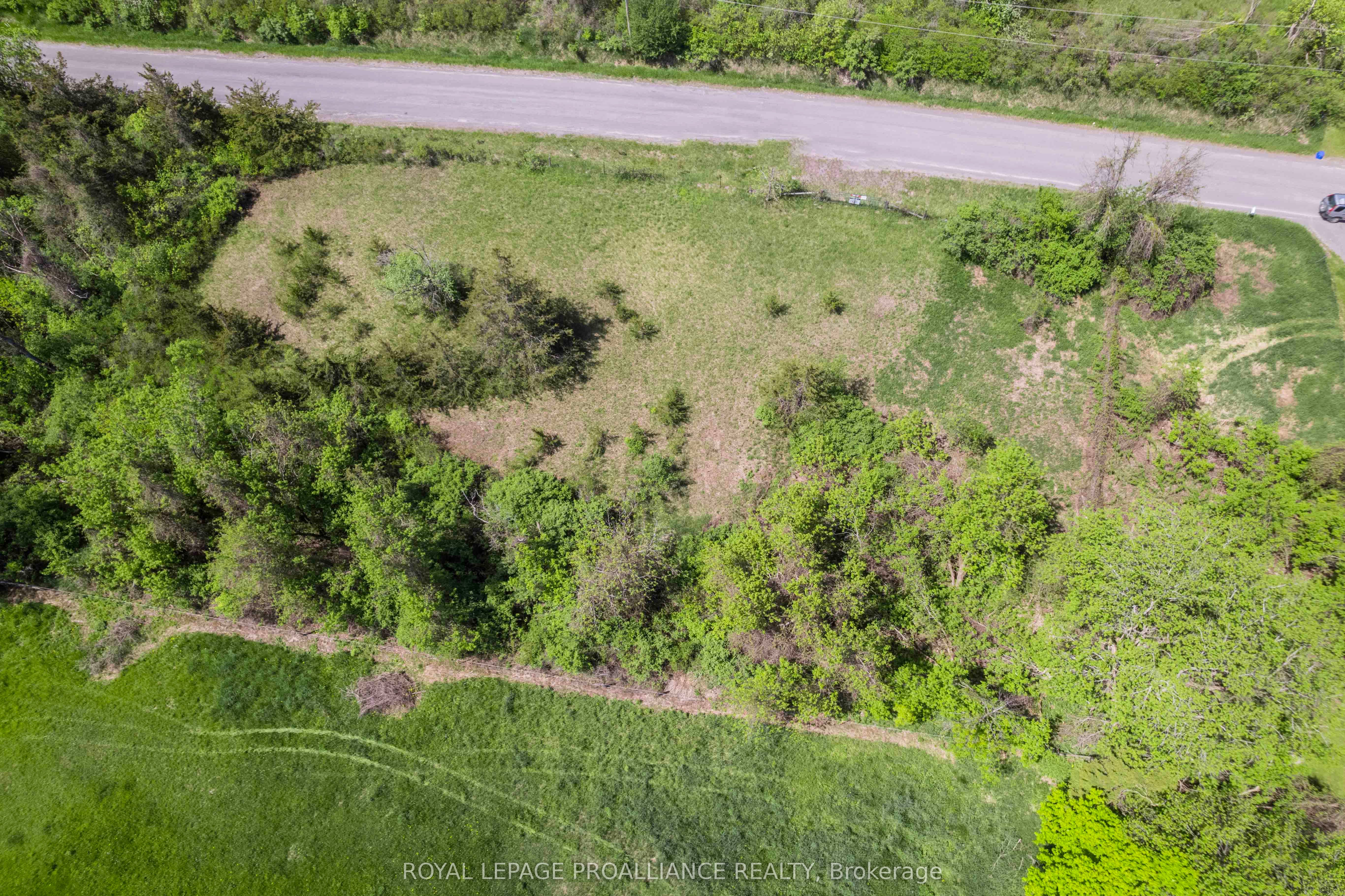 297 Zion Road Property Photo 5