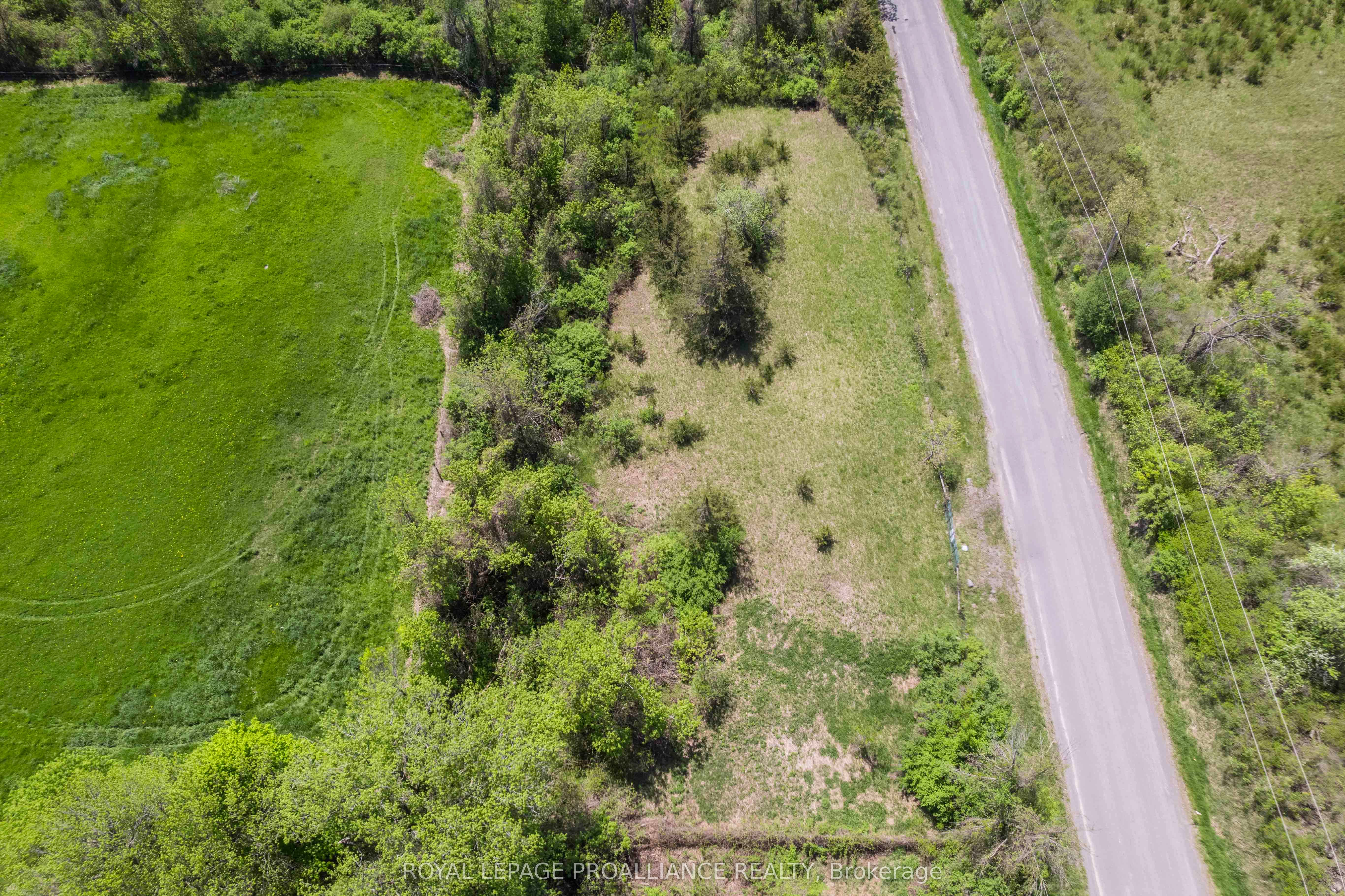 297 Zion Road Property Photo 6