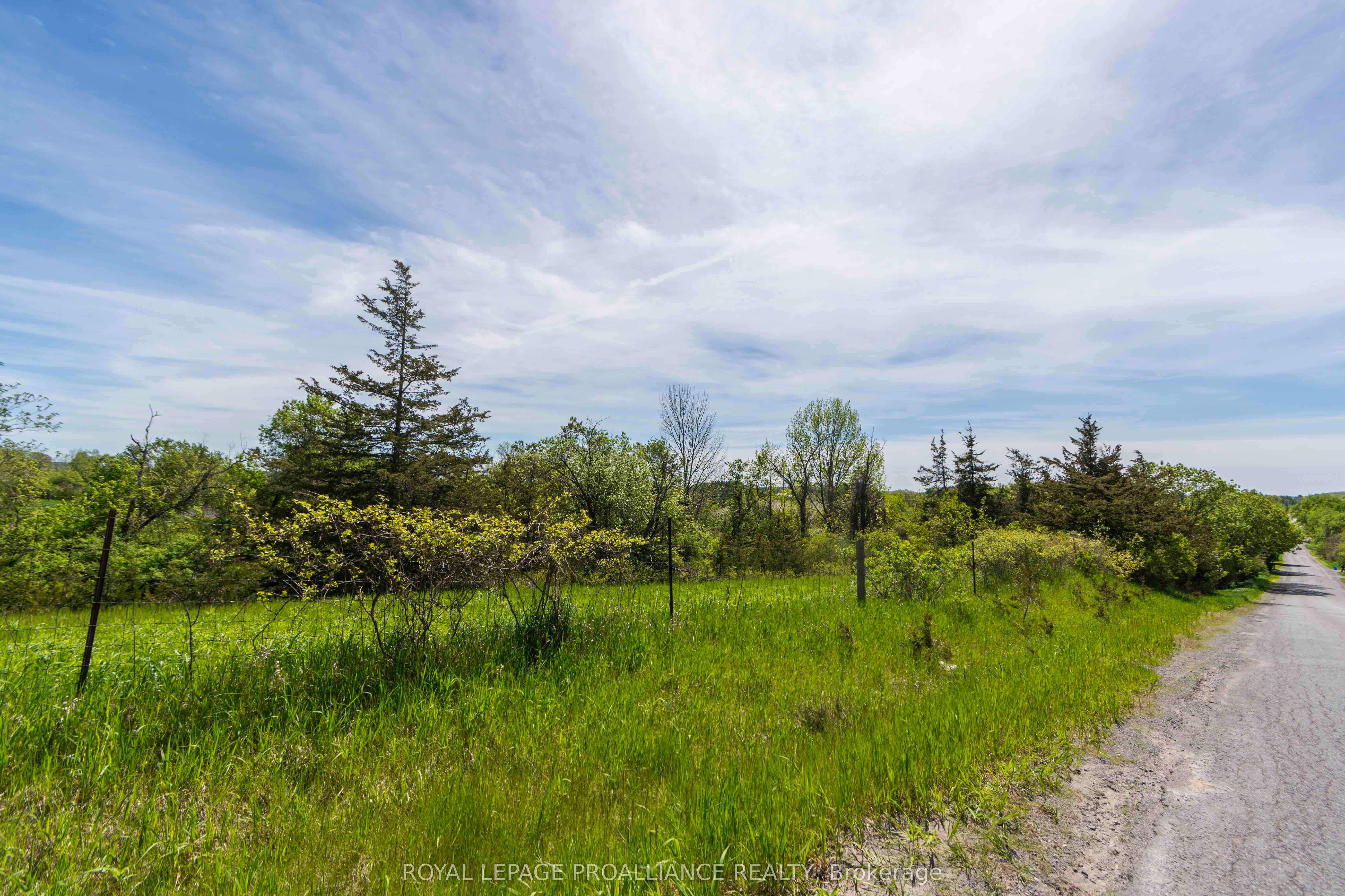 297 Zion Road Property Photo 7