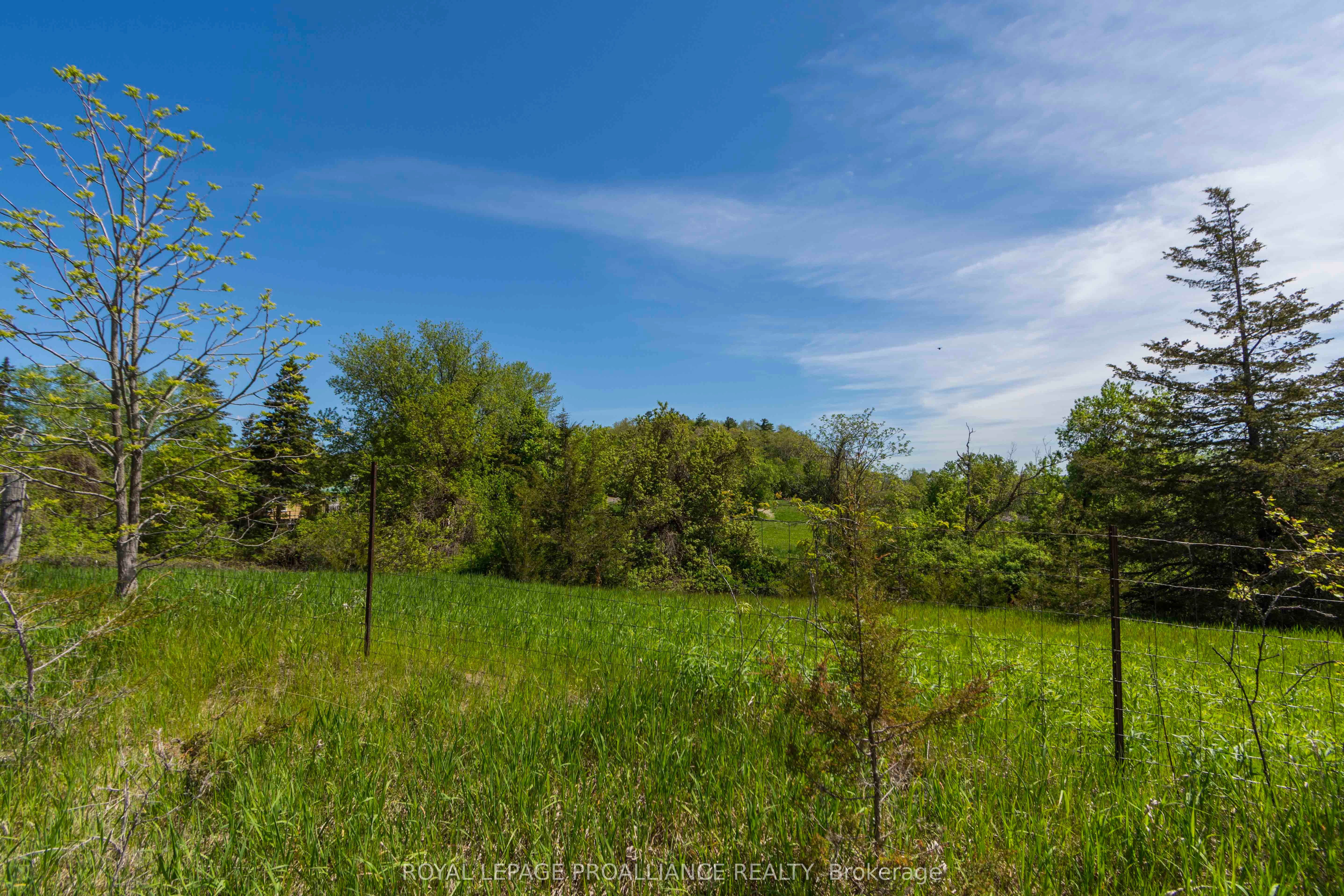 297 Zion Road Property Photo 8