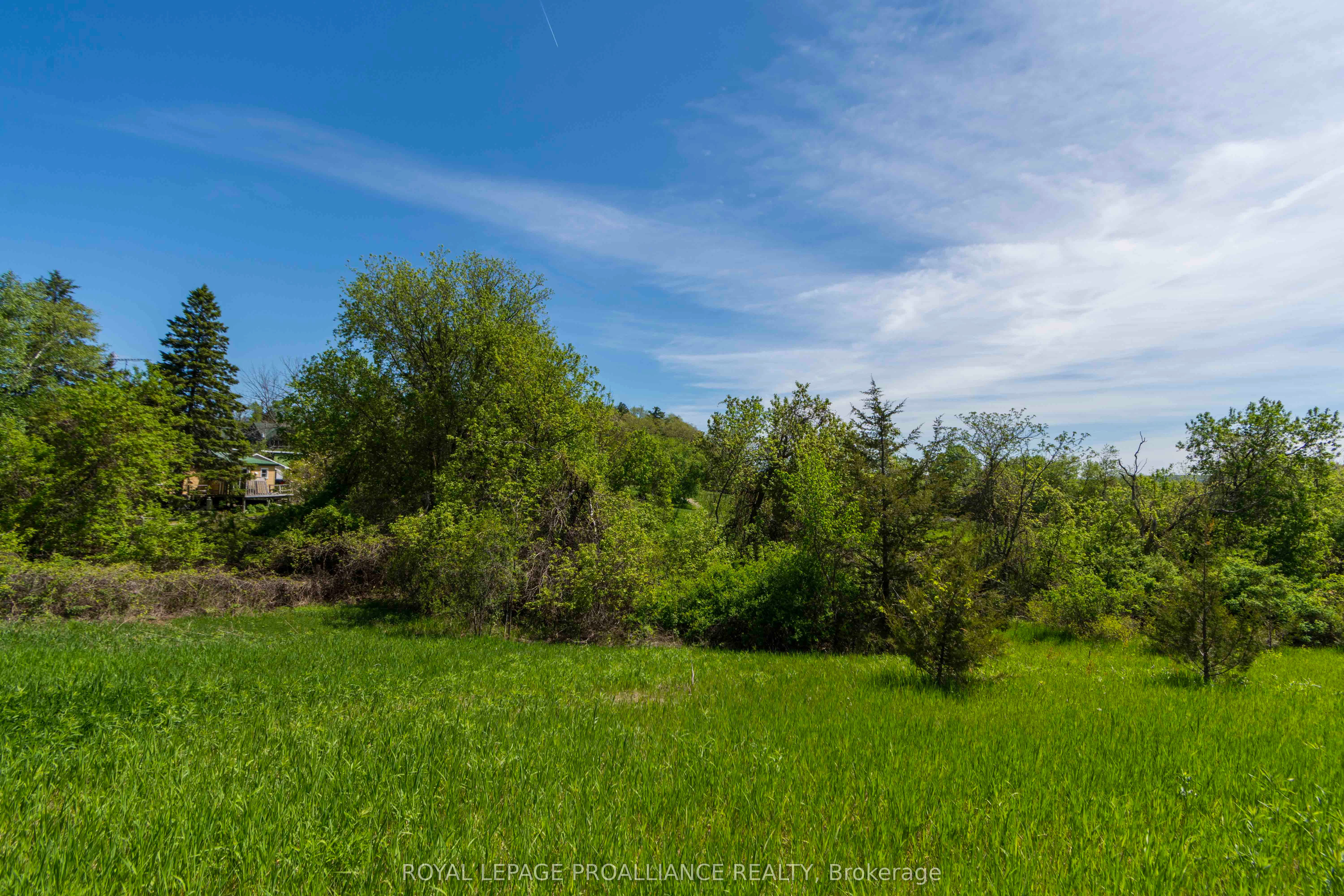 297 Zion Road Property Photo 10