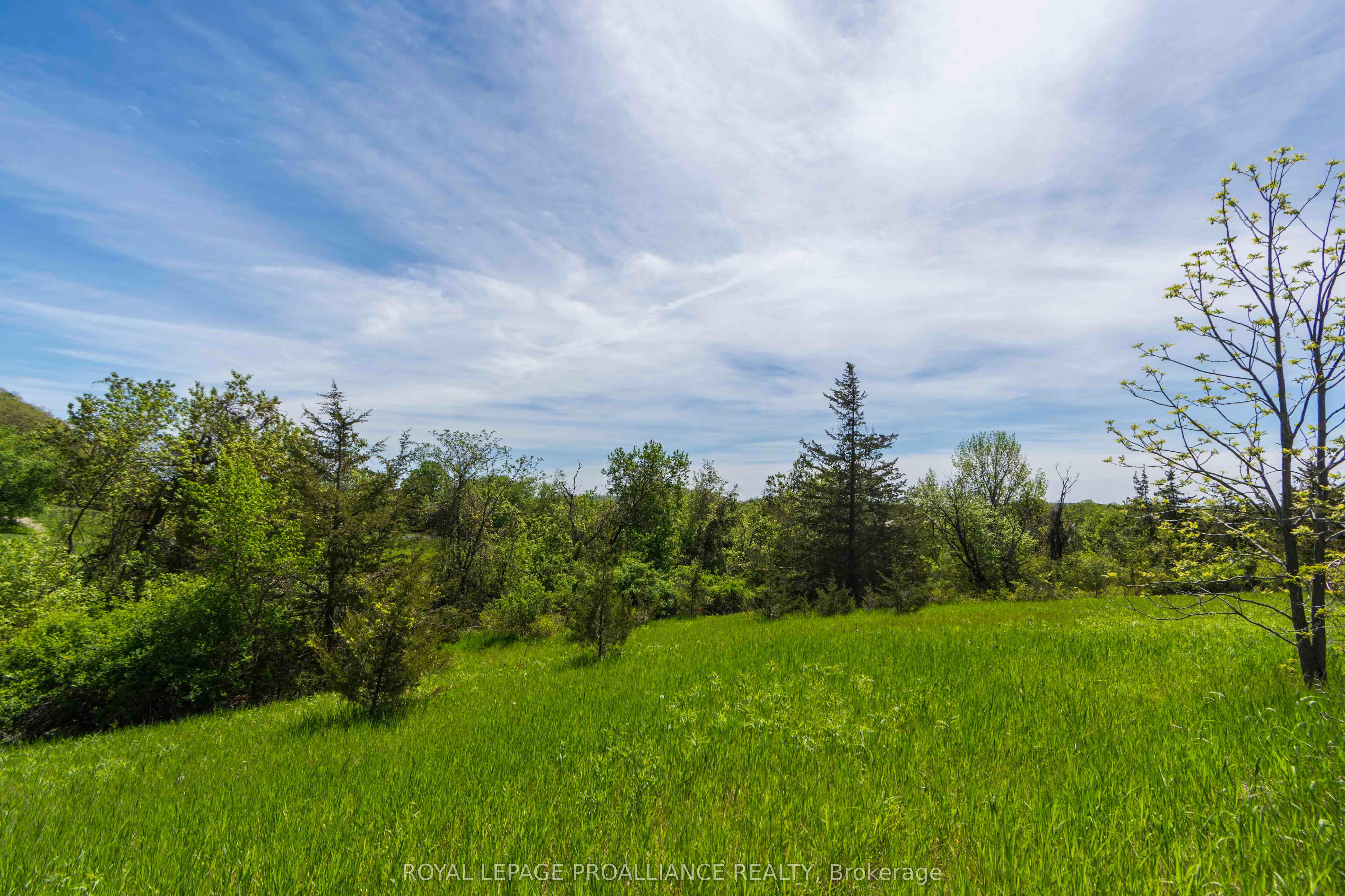 297 Zion Road Property Photo 11