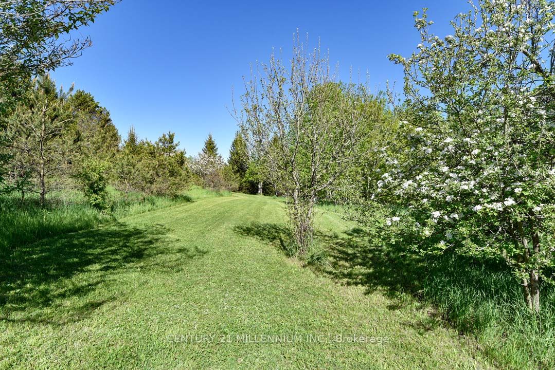 753333 2nd Line Ehs Property Photo 47