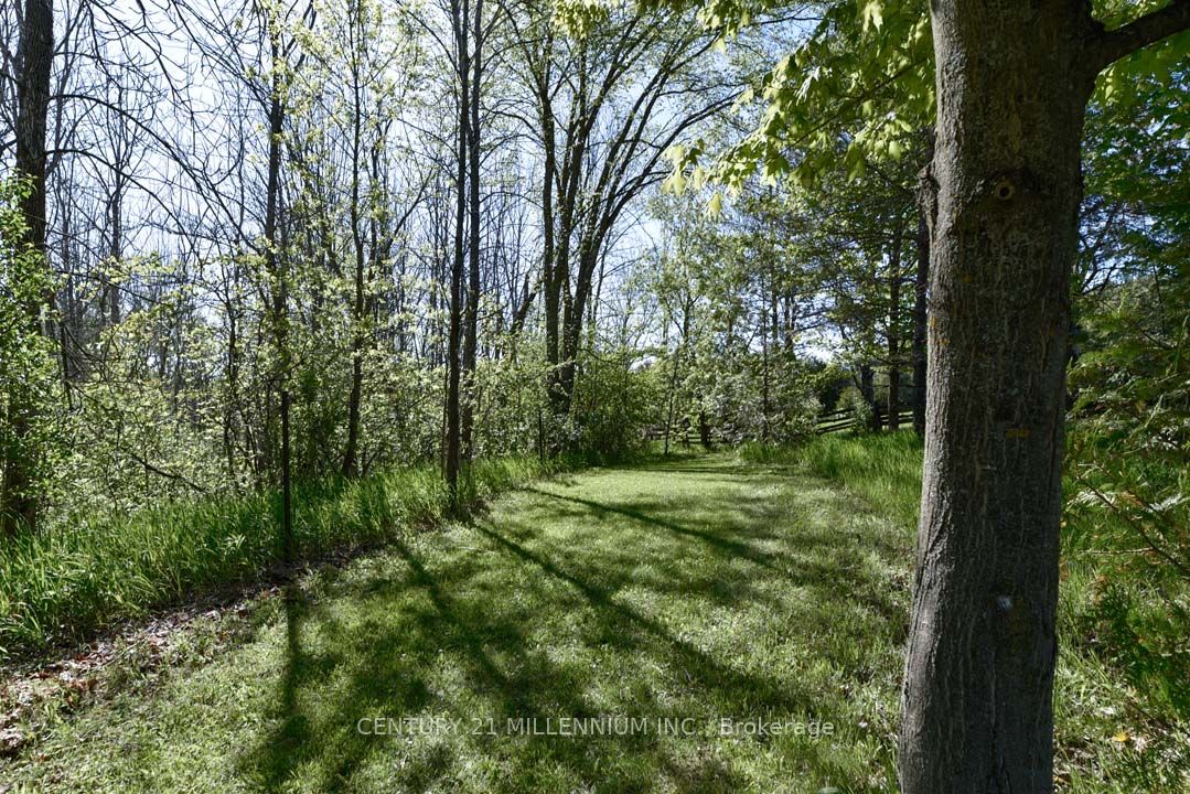753333 2nd Line Ehs Property Photo 48