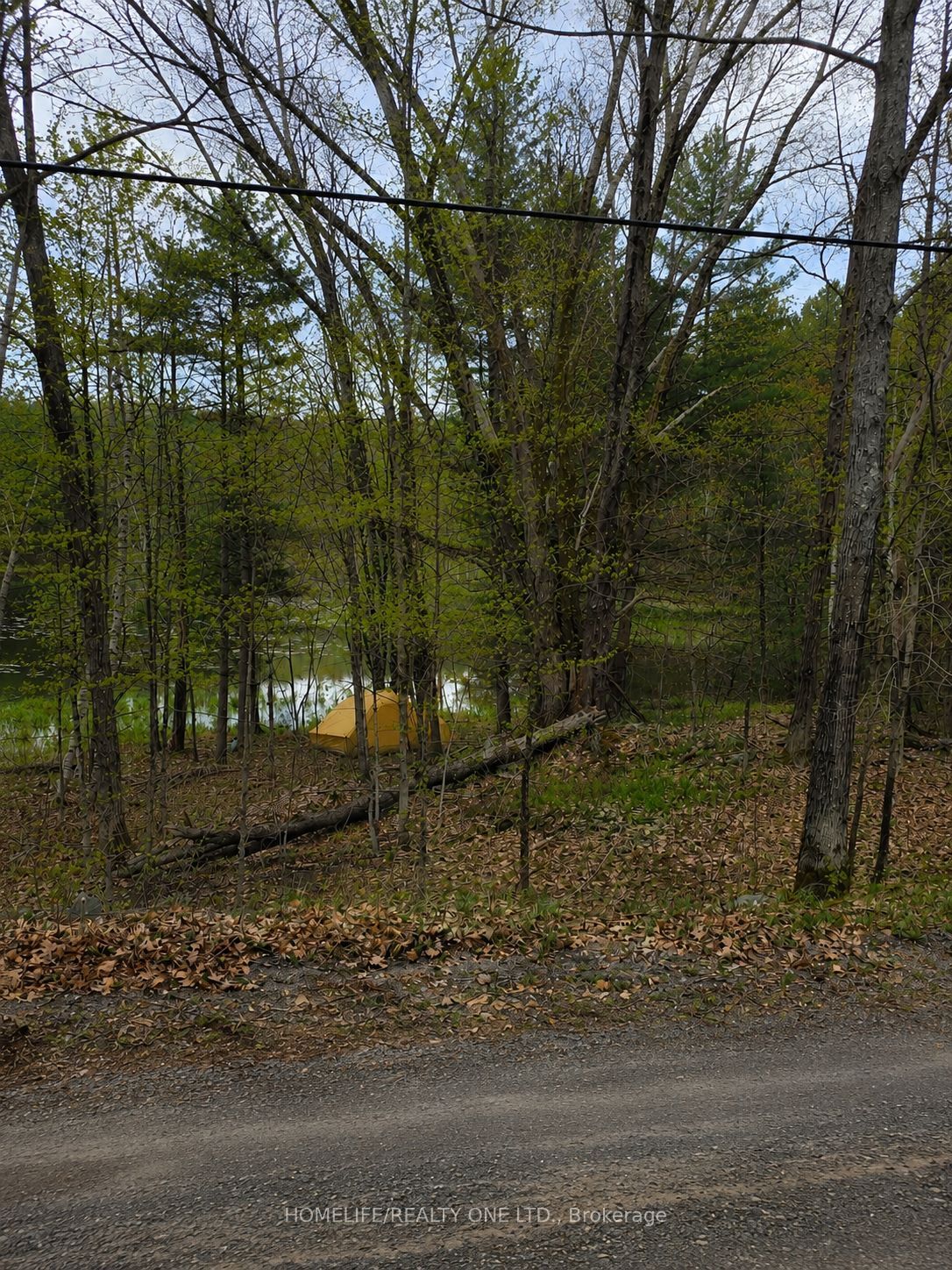 0 Village 1 Road Property Photo 4