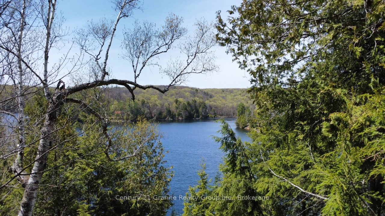 1167 Precipice Road Property Photo 5