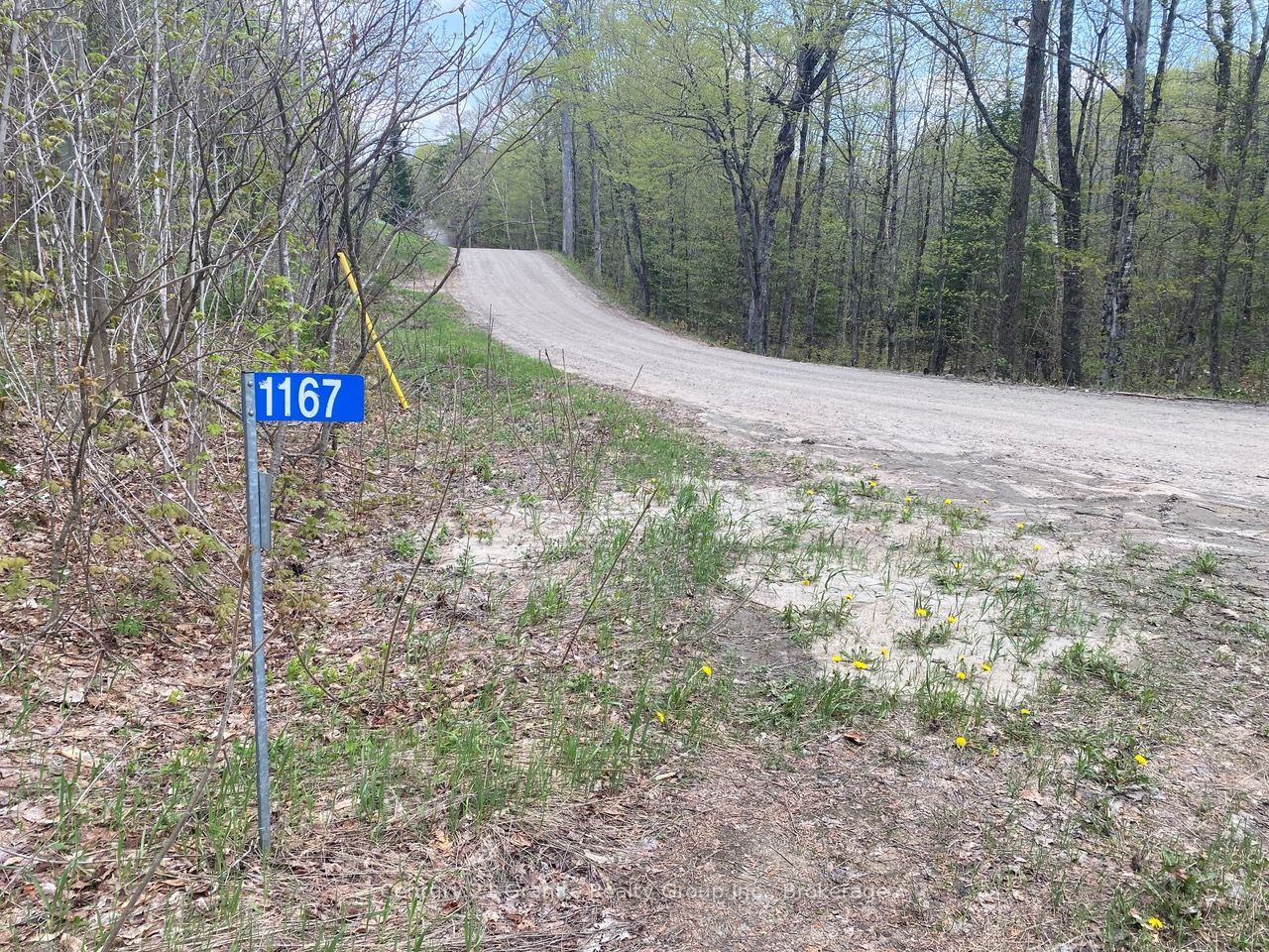 1167 Precipice Road Property Photo 37