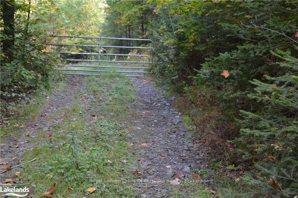 Lot 20 Concession 5 Road Property Photo 2