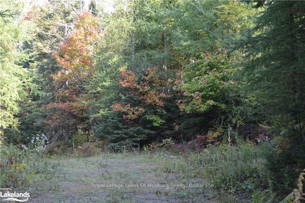Lot 20 Concession 5 Road Property Photo 3
