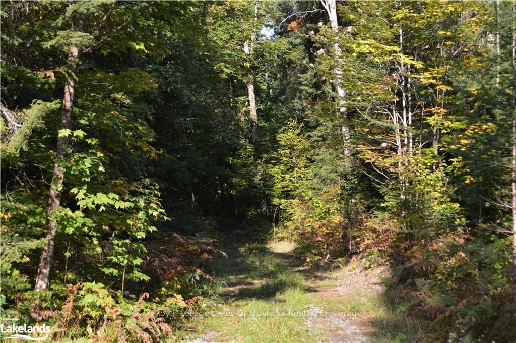 Lot 20 Concession 5 Road Property Photo 4