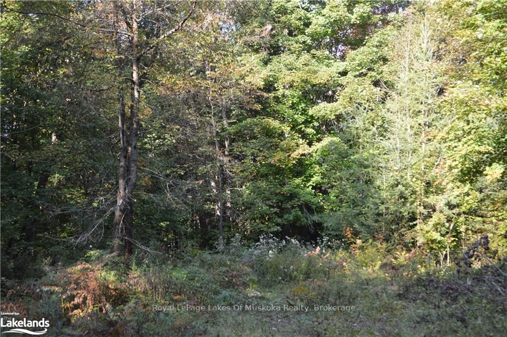 Lot 20 Concession 5 Road Property Photo 5