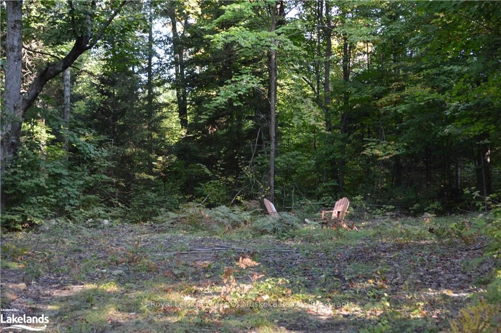 Lot 20 Concession 5 Road Property Photo 6