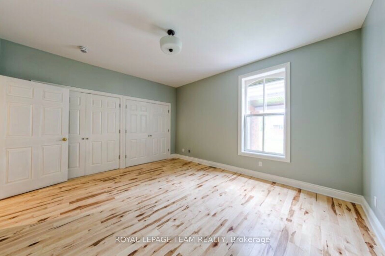 154 Elgin Street Property Photo 10