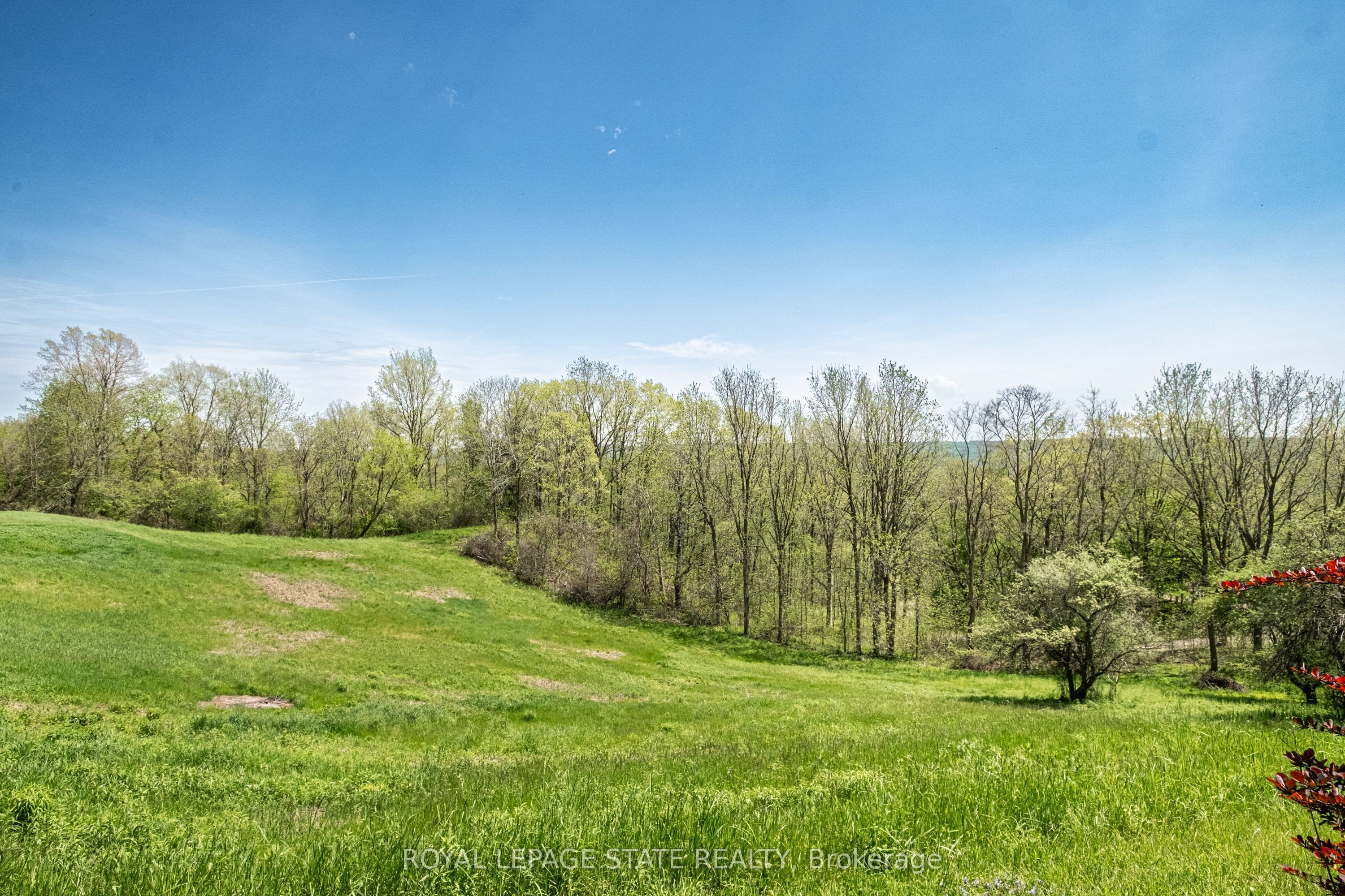 176 Weirs Lane Property Photo 49