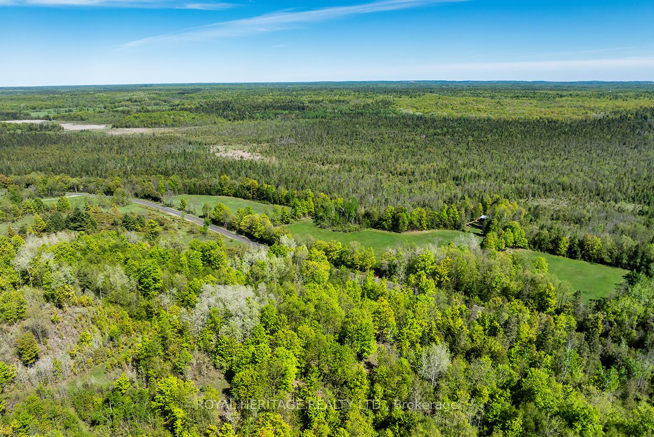 538 Spry Road Property Photo 1