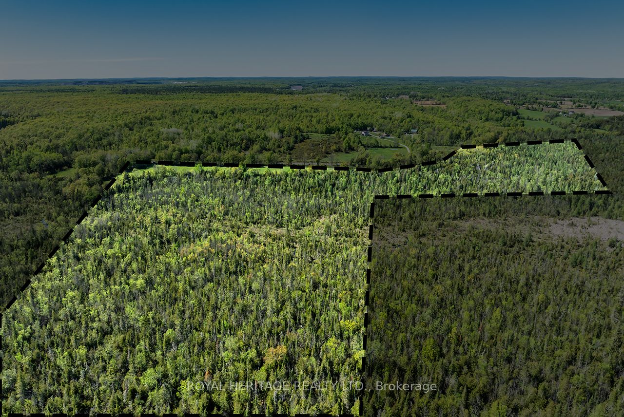 538 Spry Road Property Photo 4