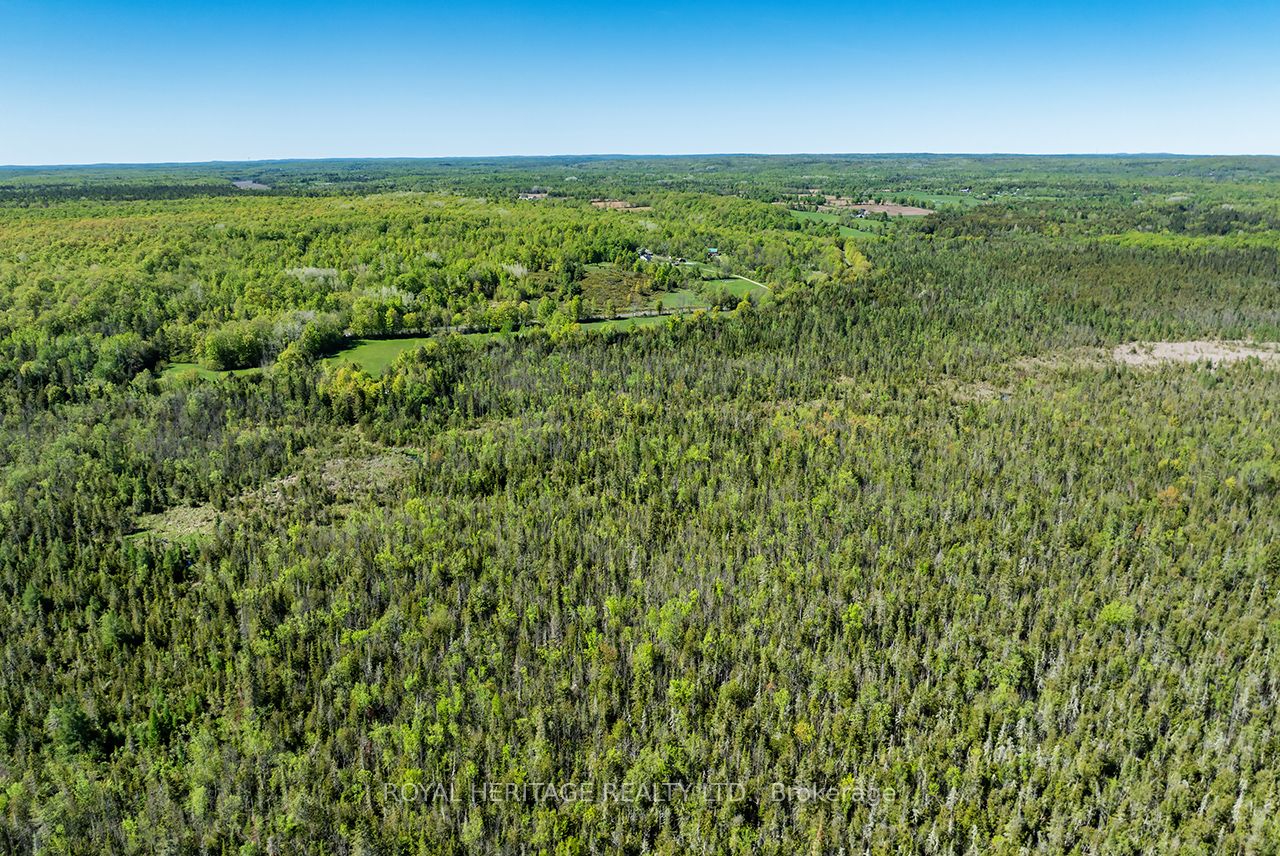 538 Spry Road Property Photo 8