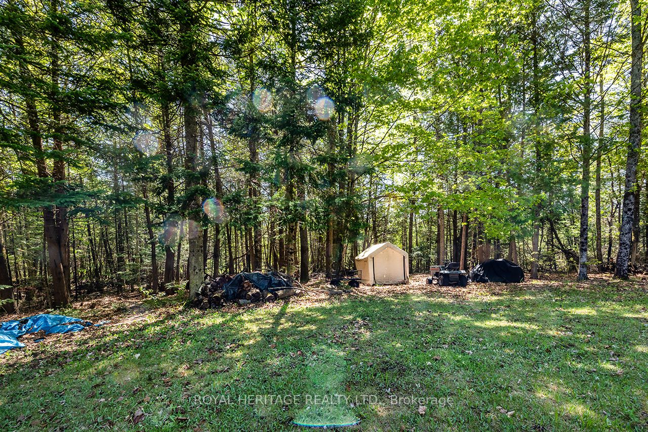 538 Spry Road Property Photo 38
