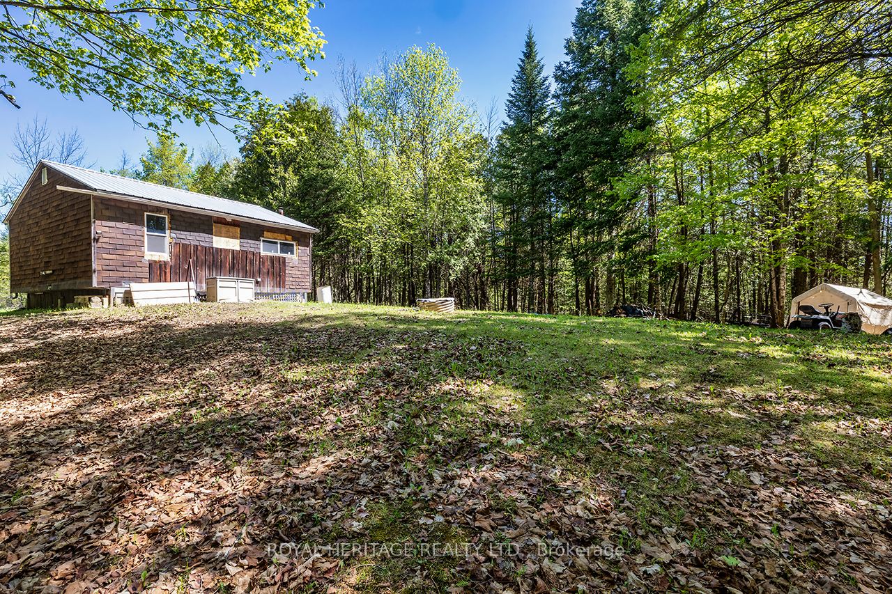538 Spry Road Property Photo 41