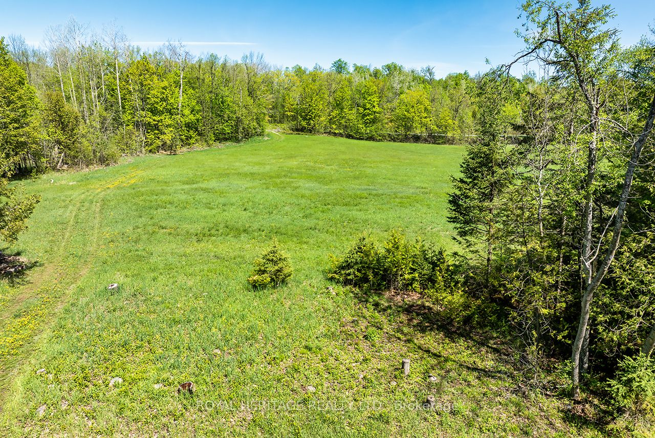 538 Spry Road Property Photo 44