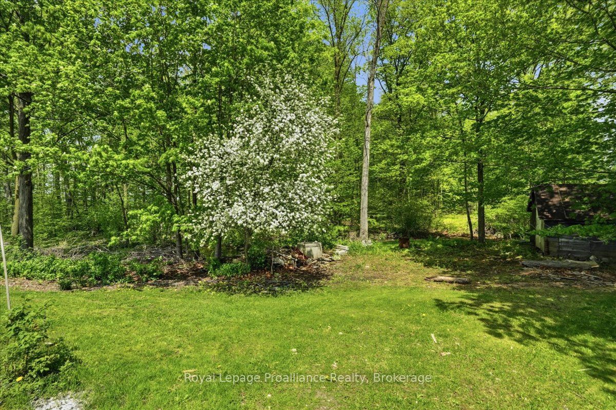1302 Wingfield Road Property Photo 42