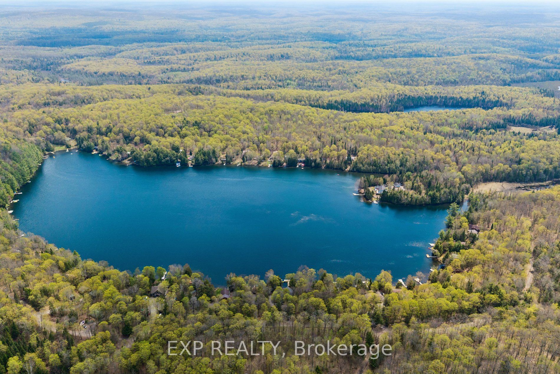 1216 Lake Lorraine (tory Lake) Lane Property Photo 29