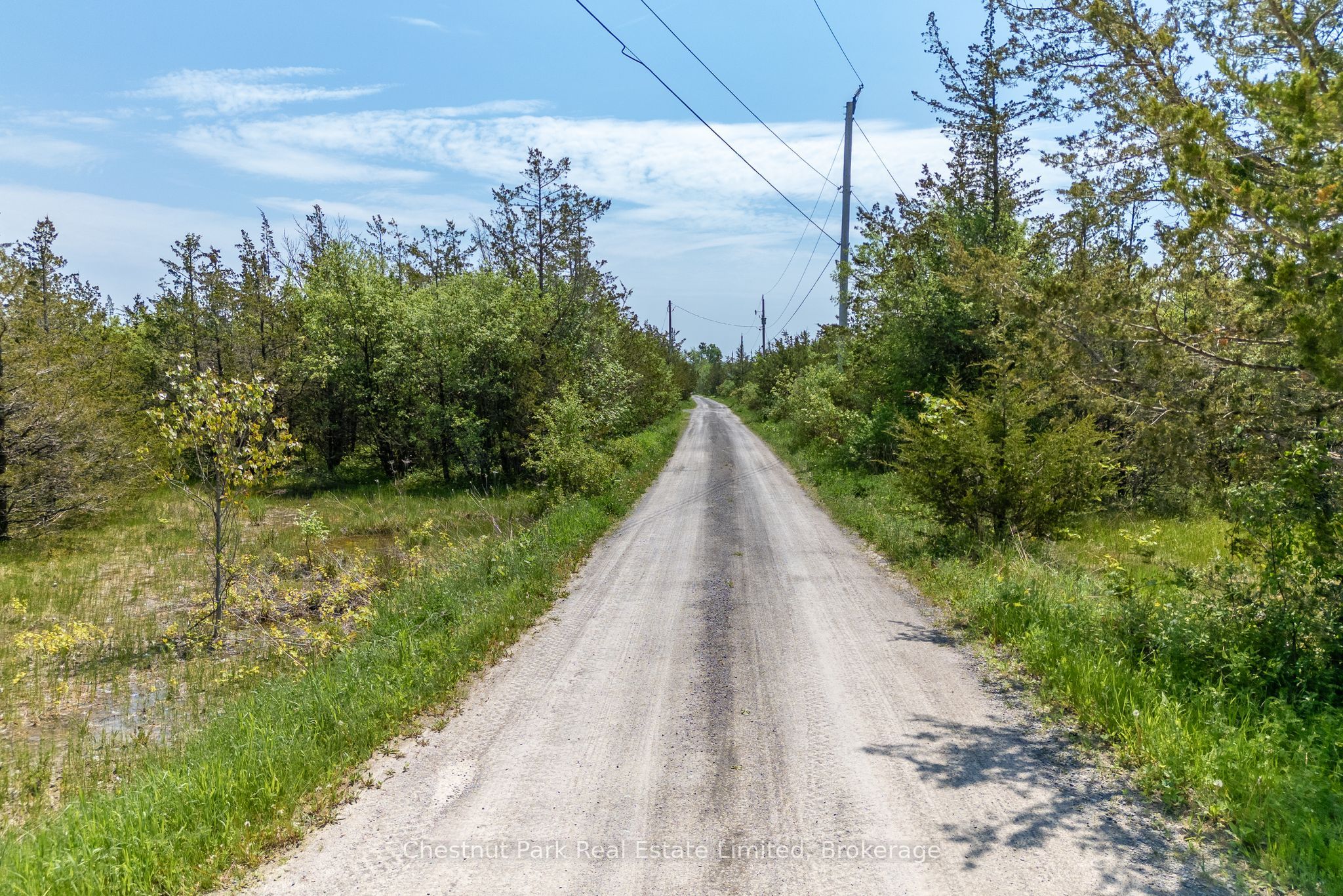 Next To 2451 County Road 15 Property Photo 13