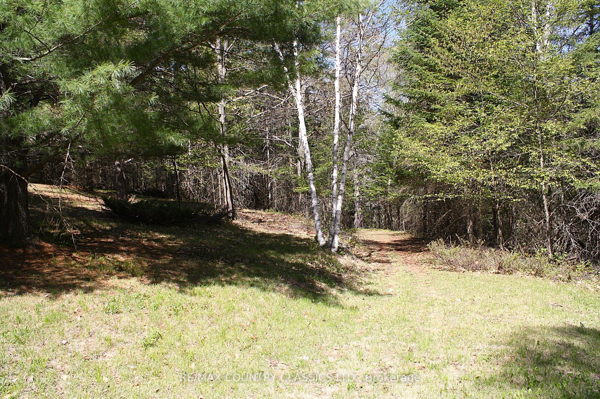 X13156988 Property Photo 10