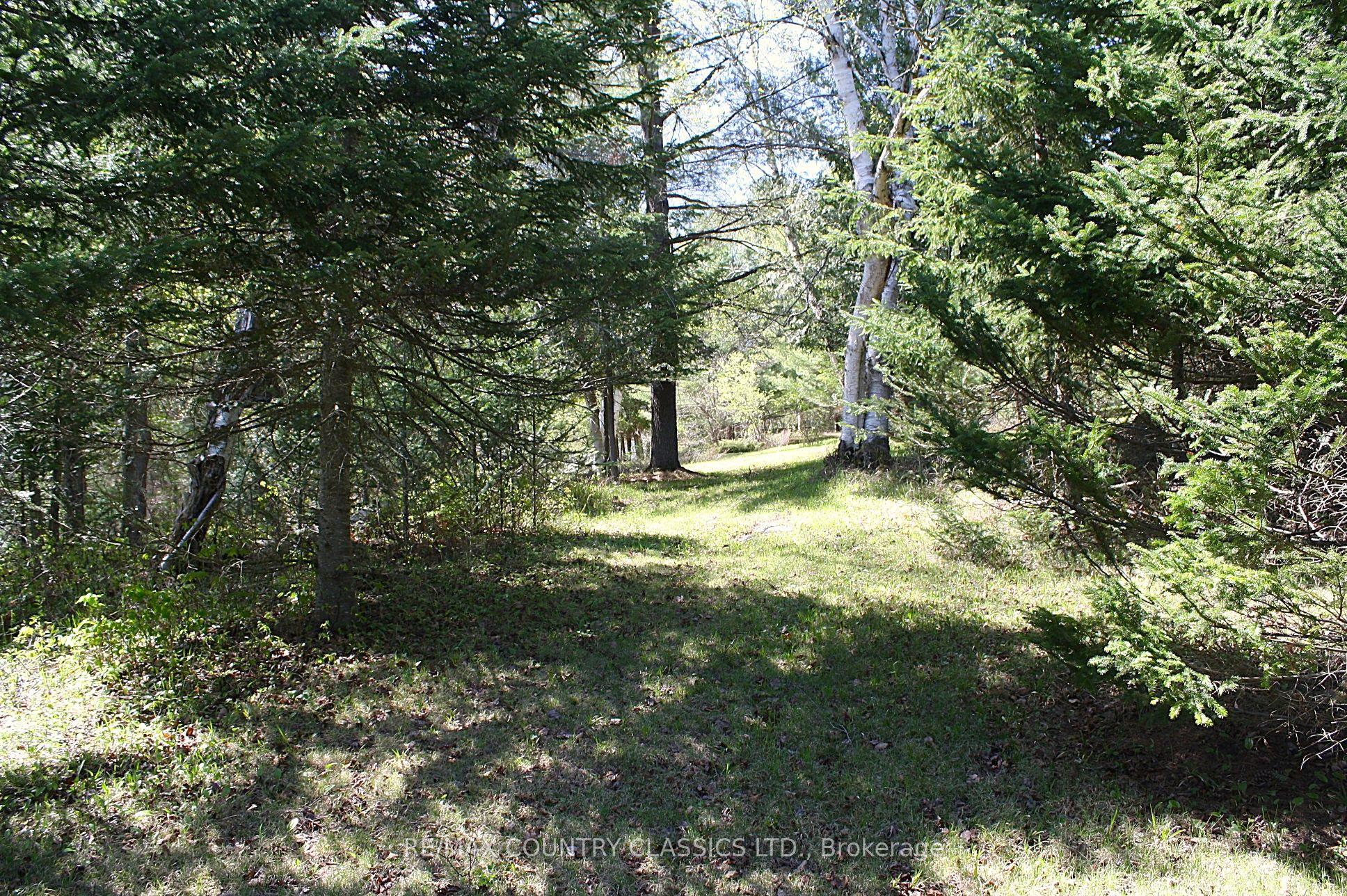 X13156988 Property Photo 11