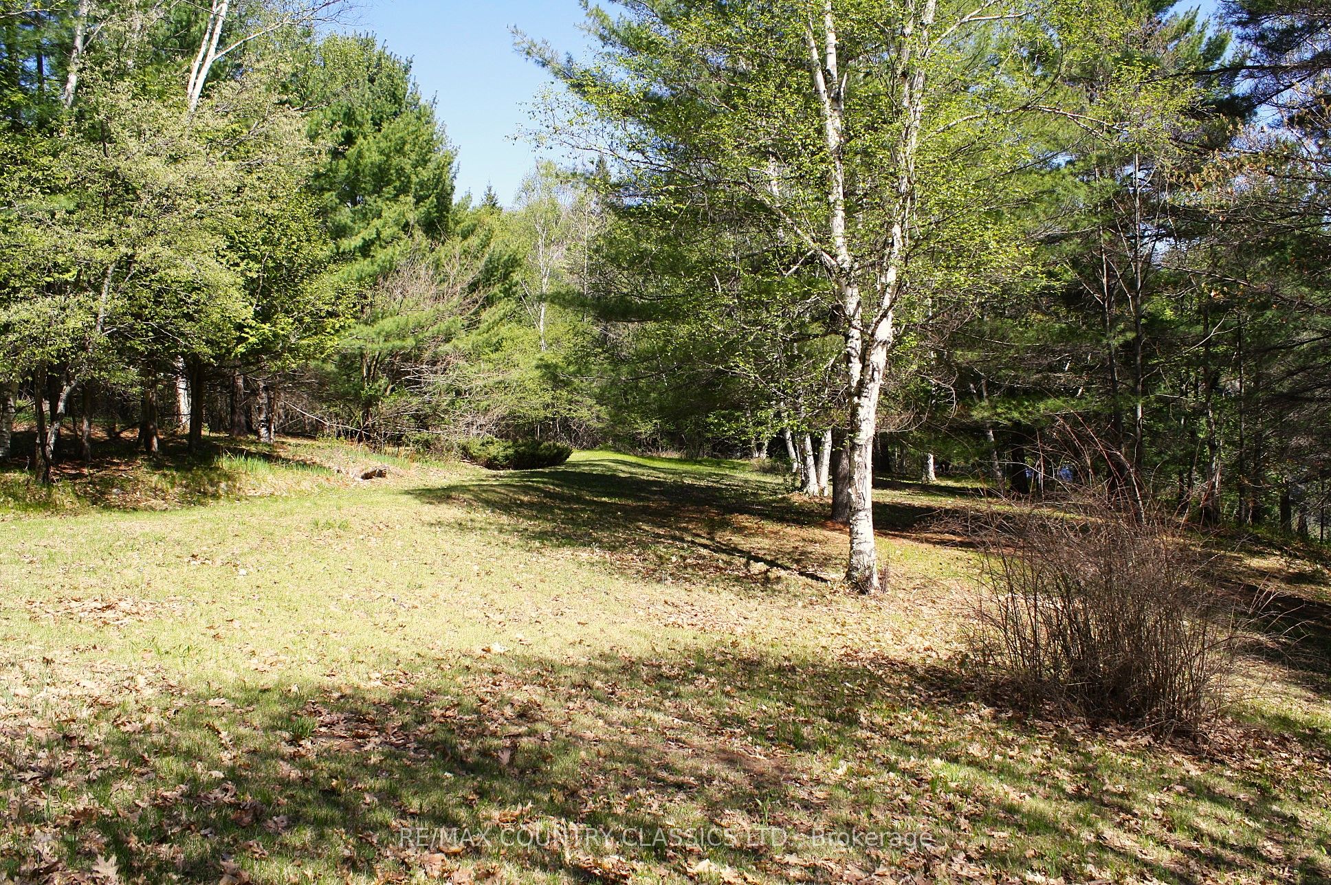 X13156988 Property Photo 23